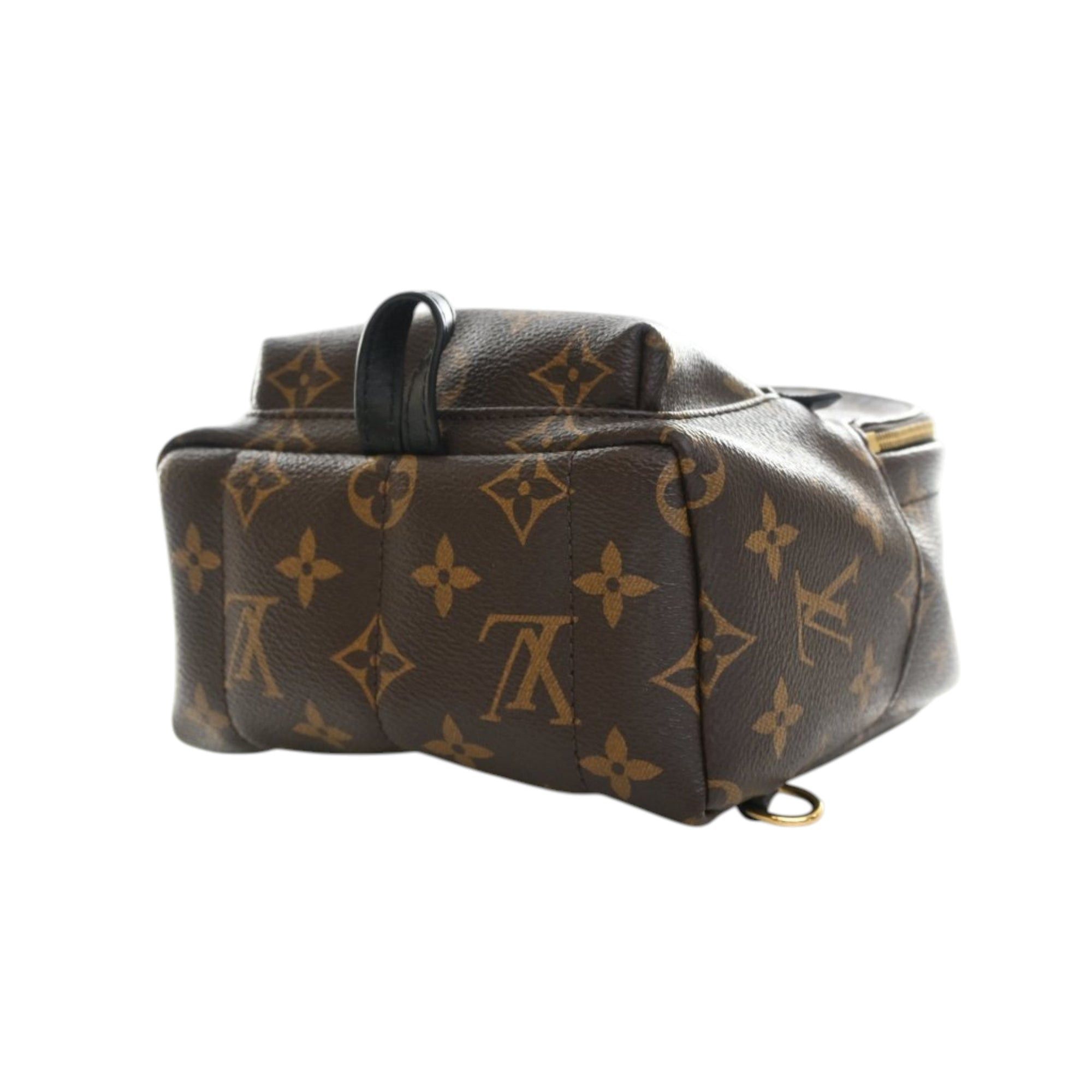 Louis Vuitton Monogram Mini Palm Springs Size ONE SIZE - 6 Thumbnail