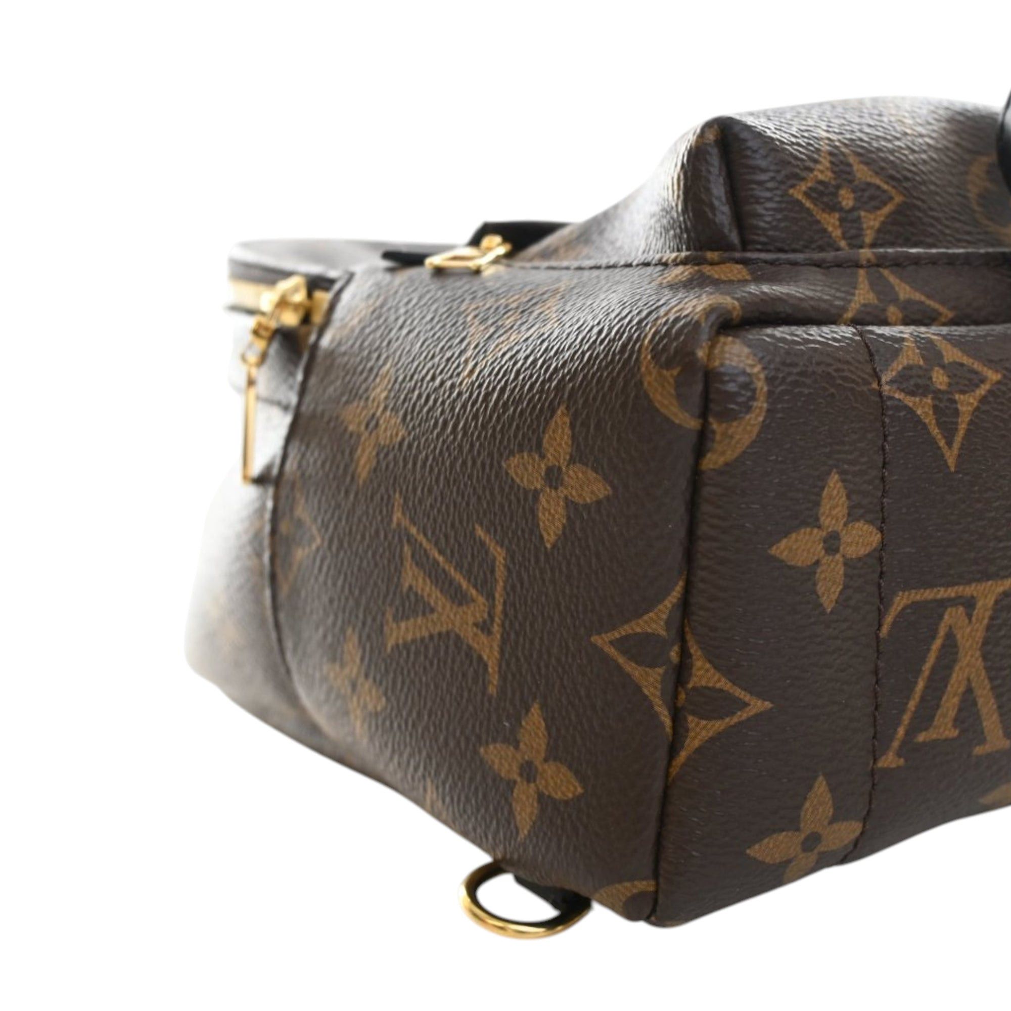 Louis Vuitton Monogram Mini Palm Springs Size ONE SIZE - 7 Thumbnail