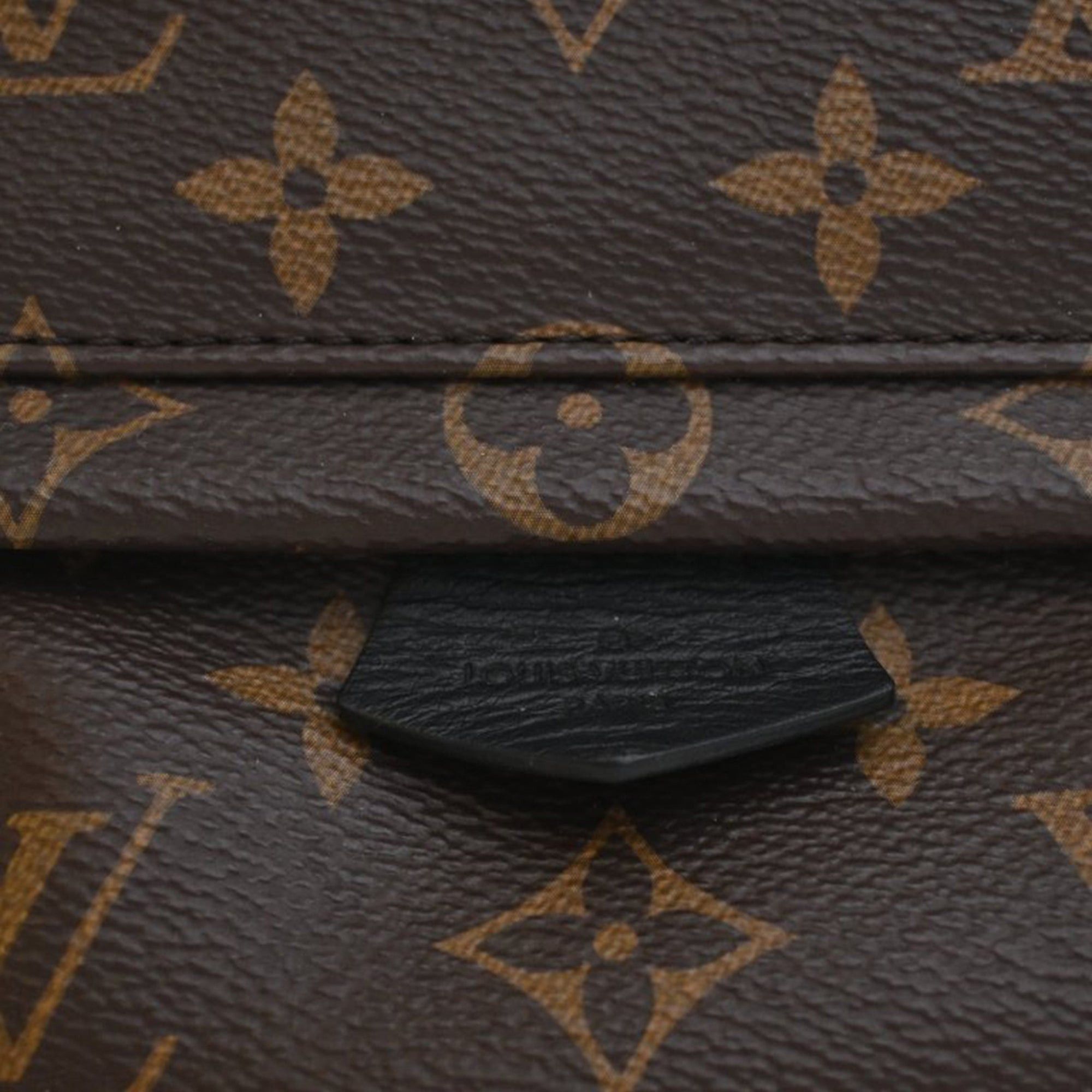 Louis Vuitton Monogram Mini Palm Springs Size ONE SIZE - 10 Thumbnail