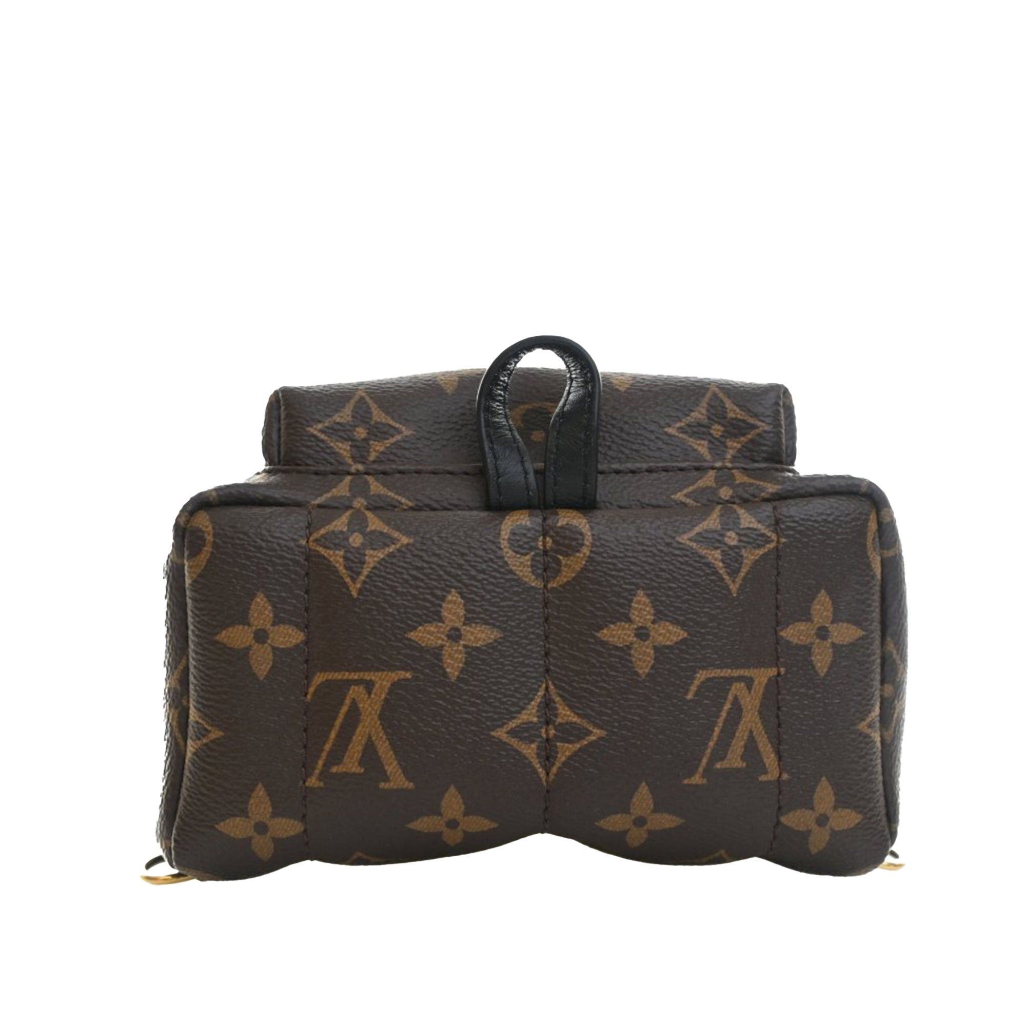 Louis Vuitton Monogram Mini Palm Springs Size ONE SIZE - 3 Thumbnail