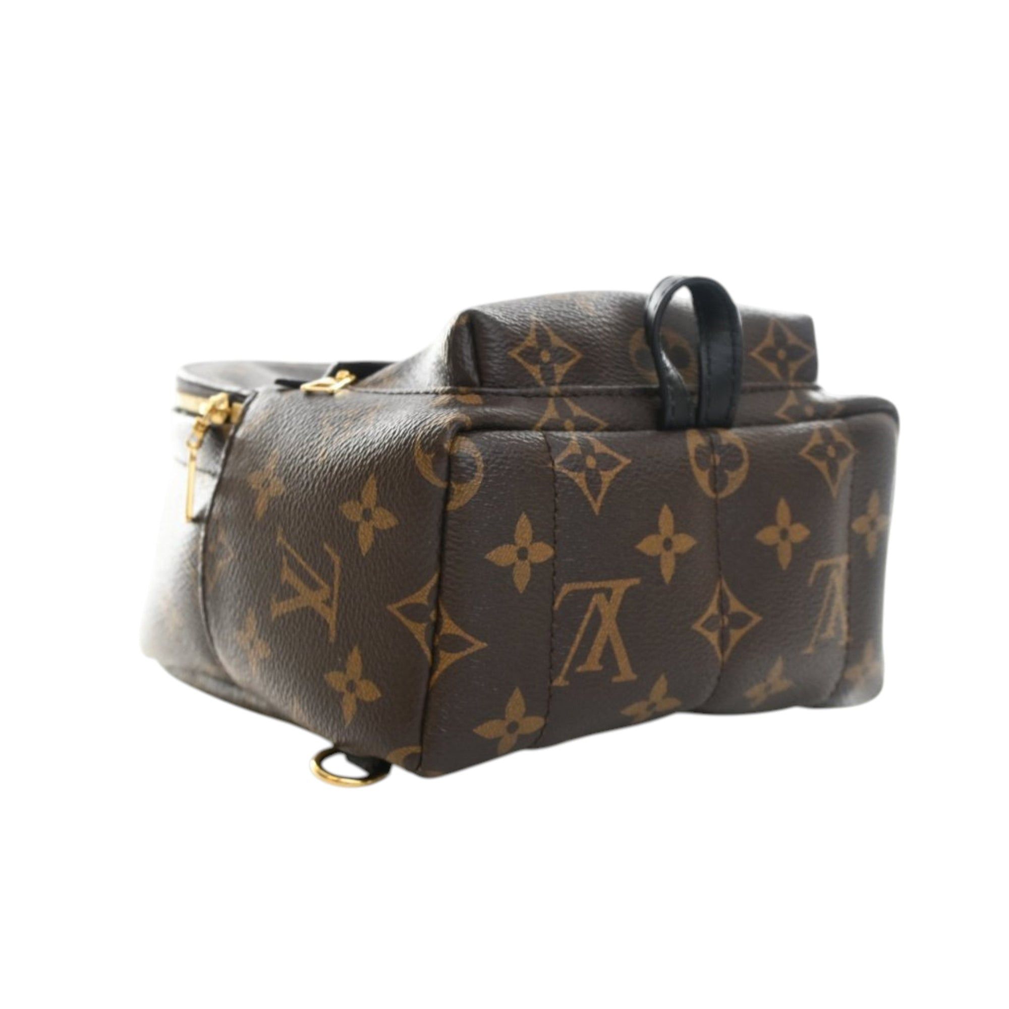 Louis Vuitton Monogram Mini Palm Springs Size ONE SIZE - 5 Thumbnail