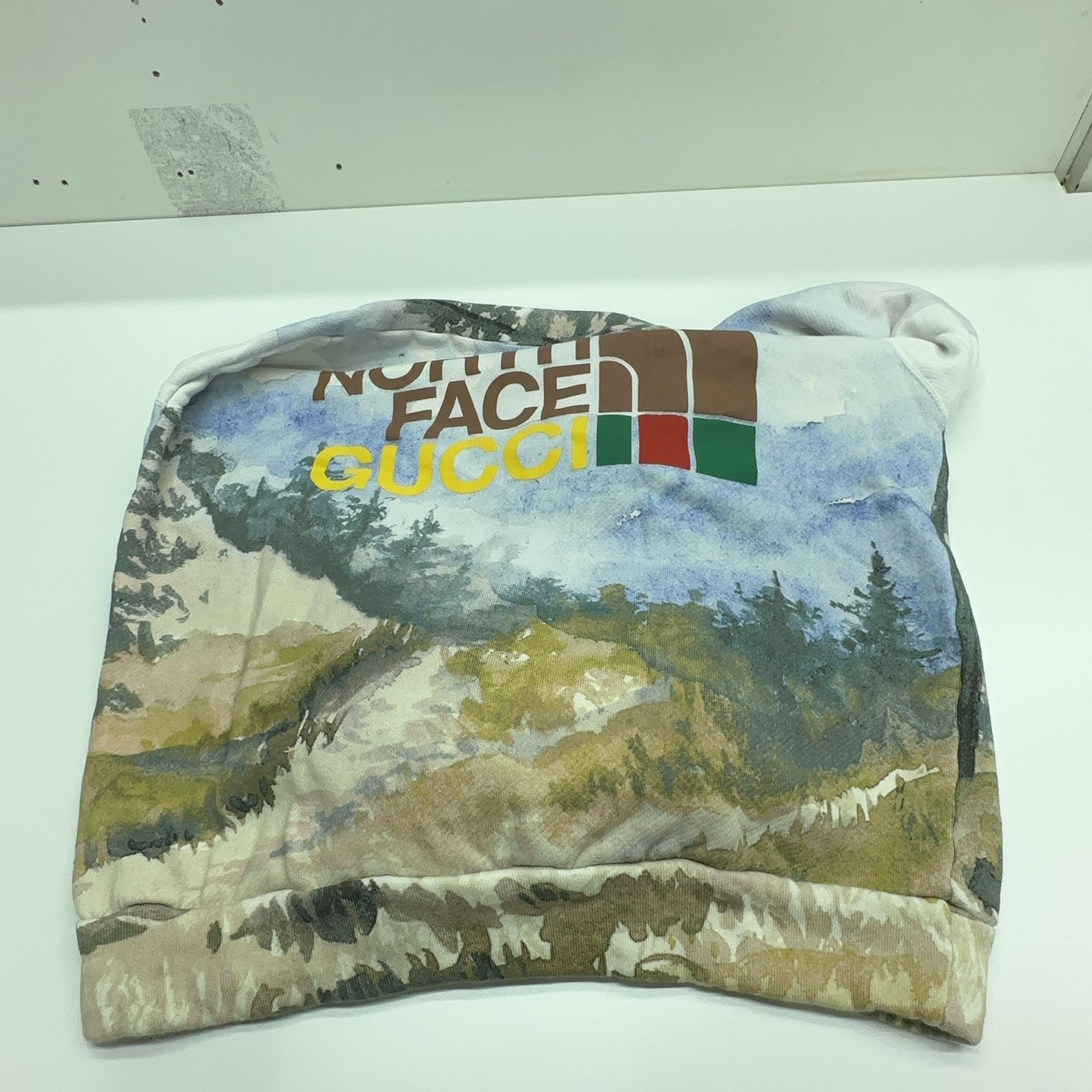 Gucci Gucci x The North Face Landscape Hoodie Size XXS Size XXS / US 00 / IT 34 - 12 Thumbnail
