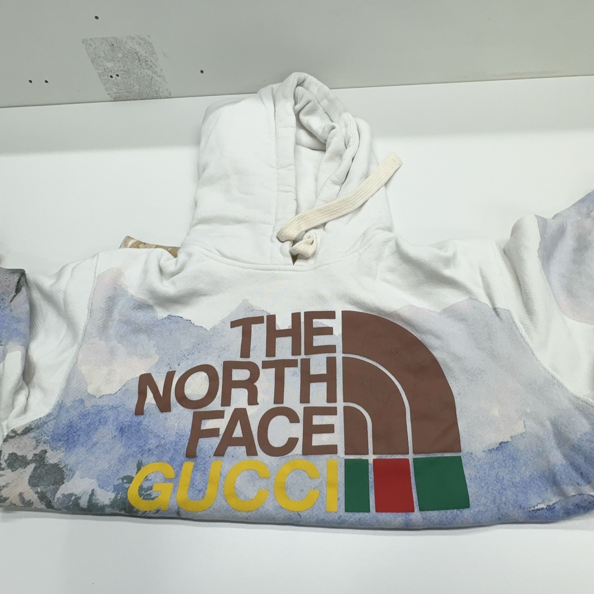 Gucci Gucci x The North Face Landscape Hoodie Size XXS Size XXS / US 00 / IT 34 - 9 Thumbnail