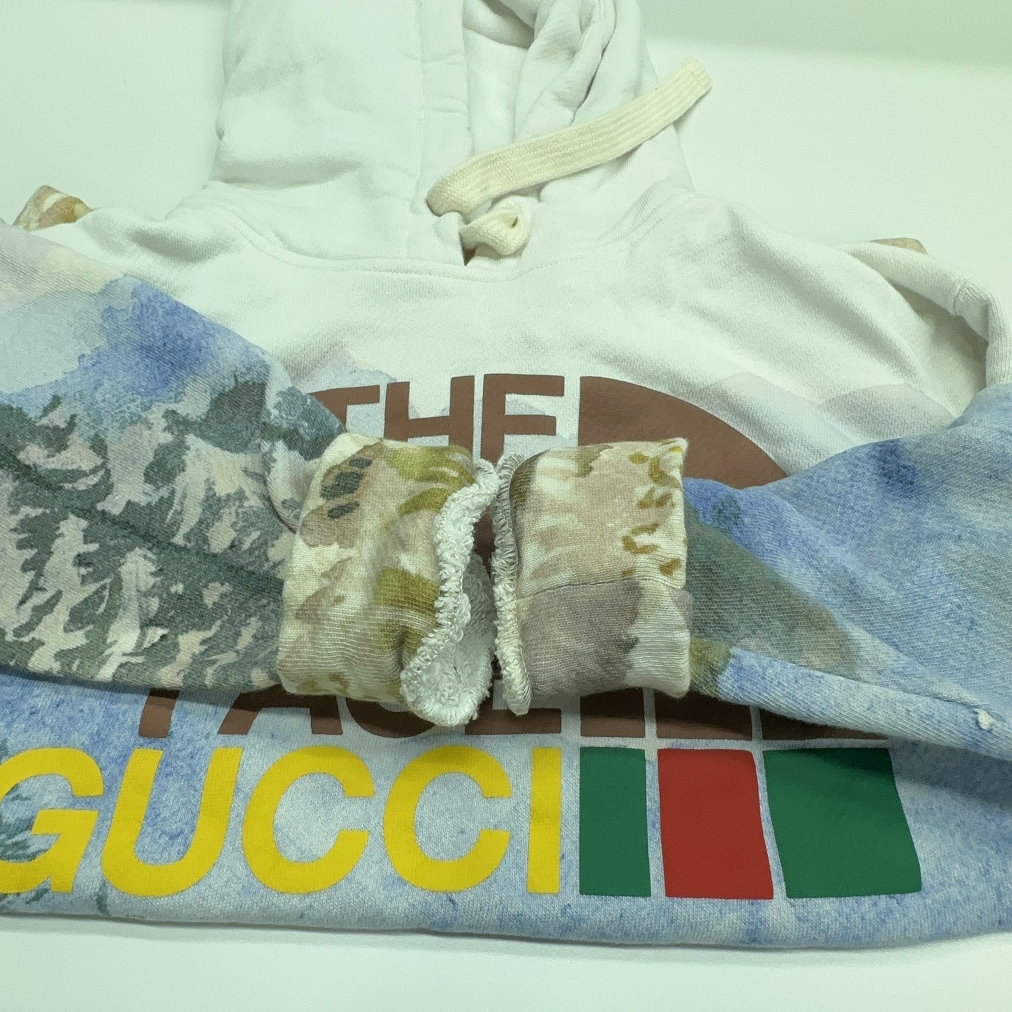 Gucci Gucci x The North Face Landscape Hoodie Size XXS Size XXS / US 00 / IT 34 - 11 Thumbnail