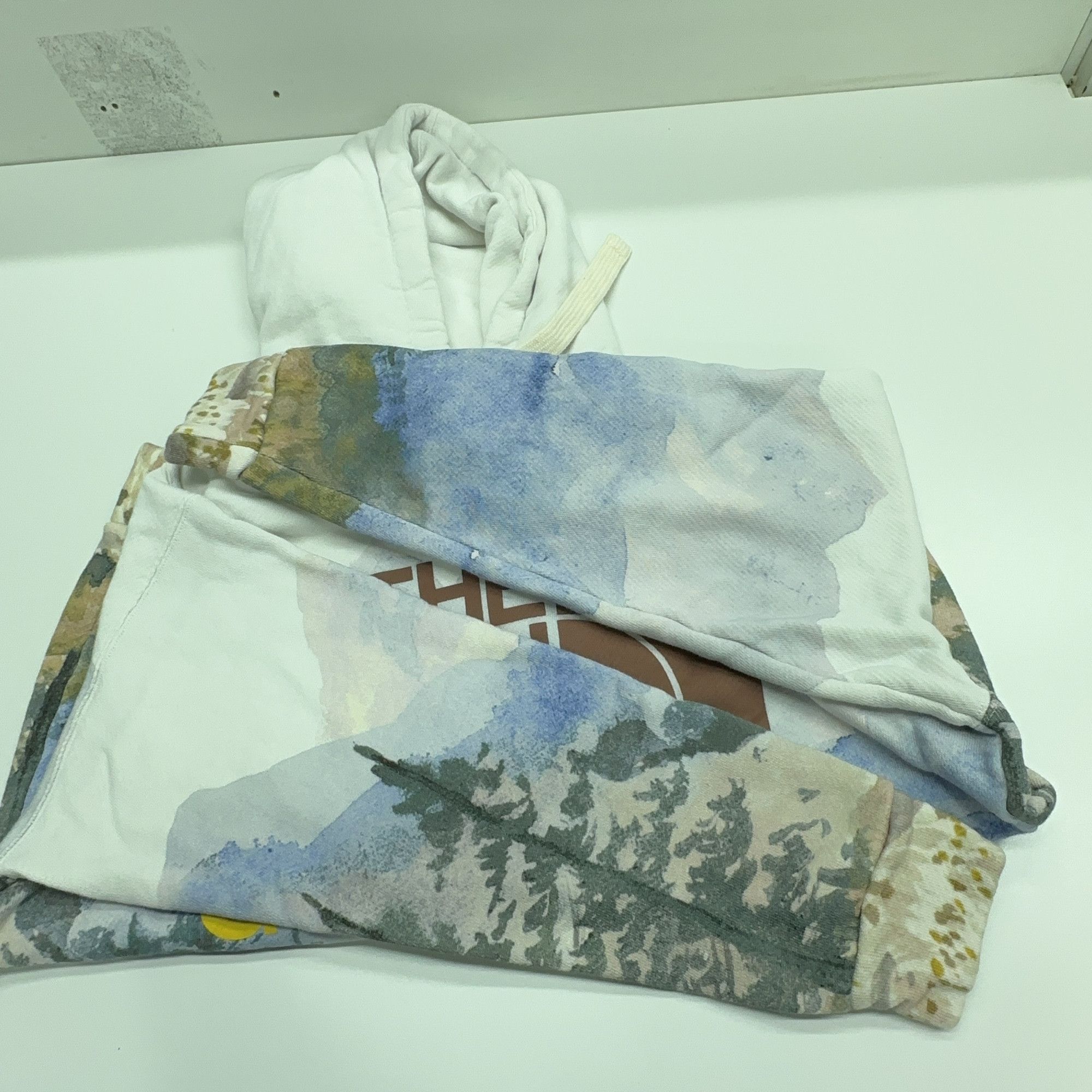 Gucci Gucci x The North Face Landscape Hoodie Size XXS Size XXS / US 00 / IT 34 - 10 Thumbnail