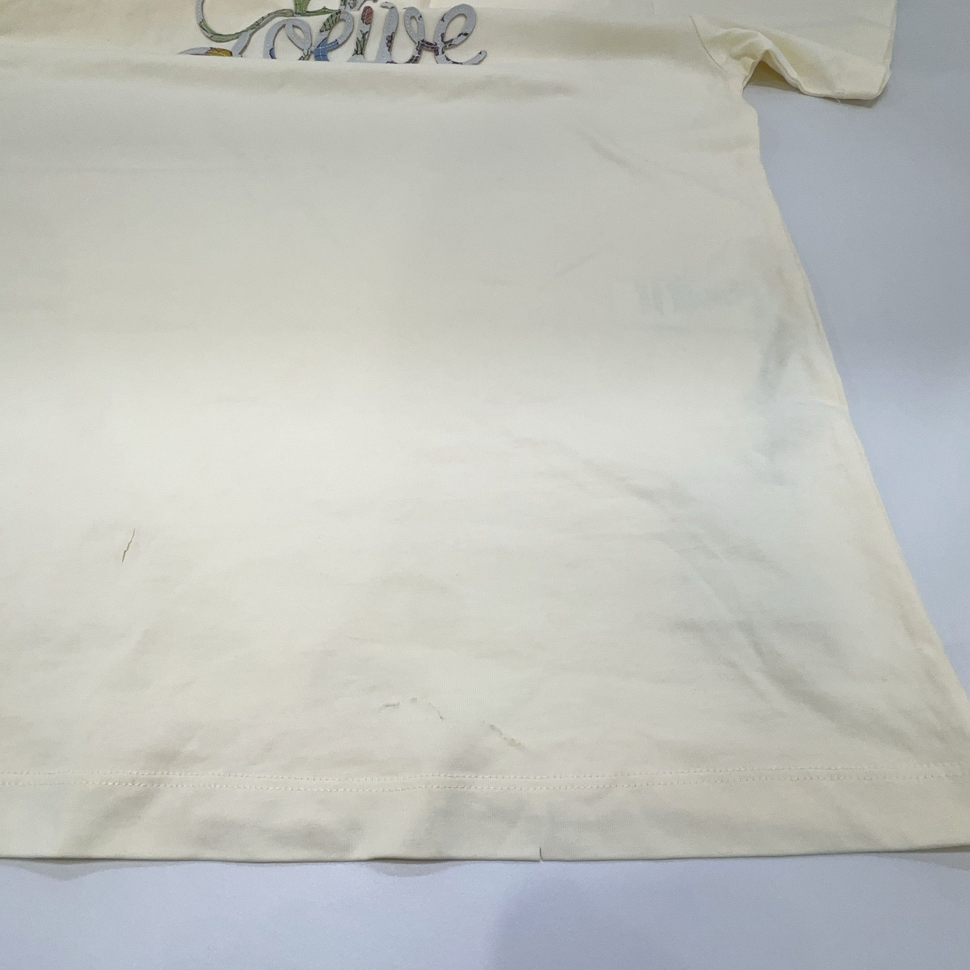 Loewe Loewe Embroidered Logo T-Shirt Size M Size M / US 6-8 / IT 42-44 - 10 Thumbnail