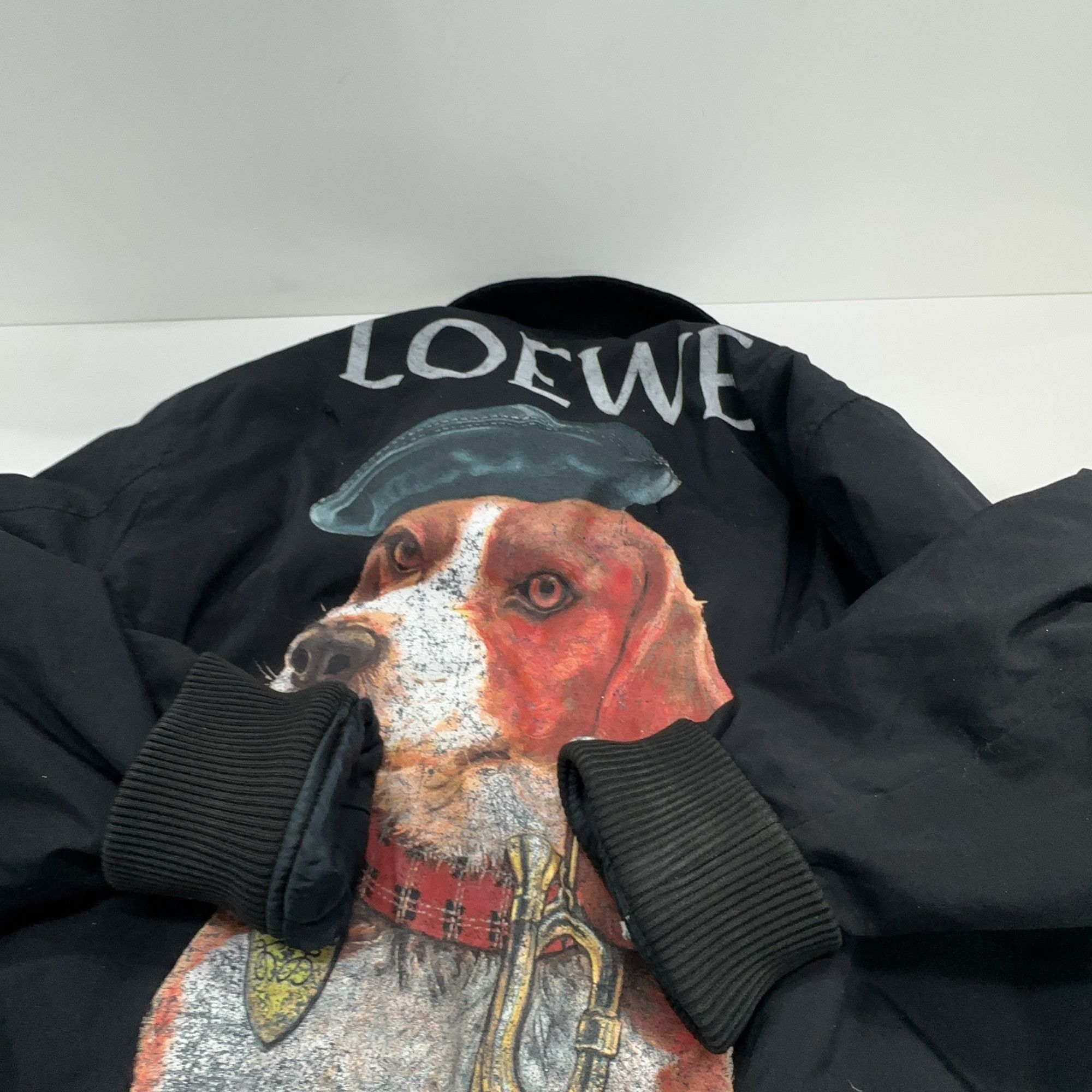 Loewe Loewe Dog Graphic Bomber Jacket Size M Size US M / EU 48-50 / 2 - 11 Thumbnail