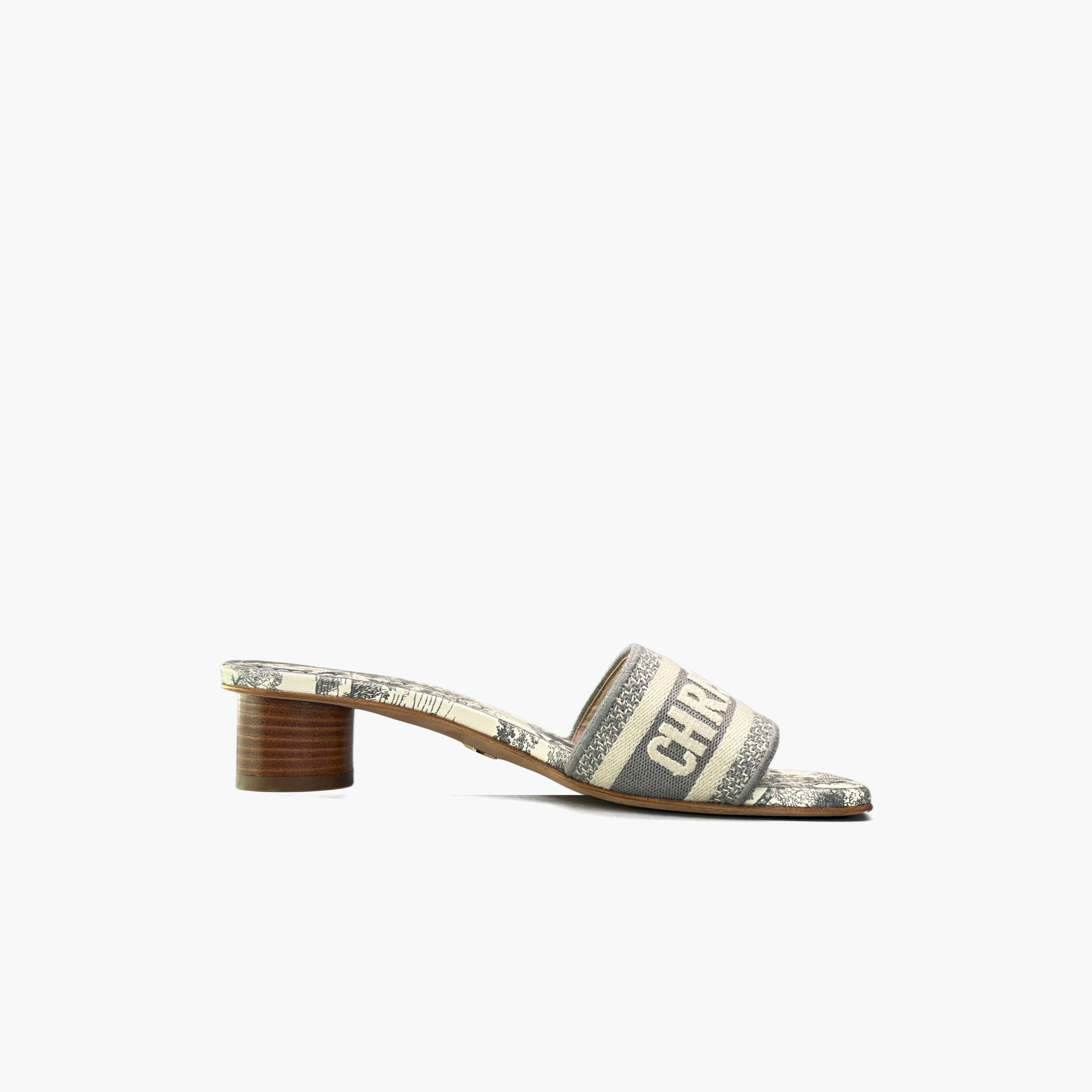 Dior Dior Dway Toile de Jouy Mules Size 35.5 Size US 5.5 / IT 35.5 - 2 Thumbnail