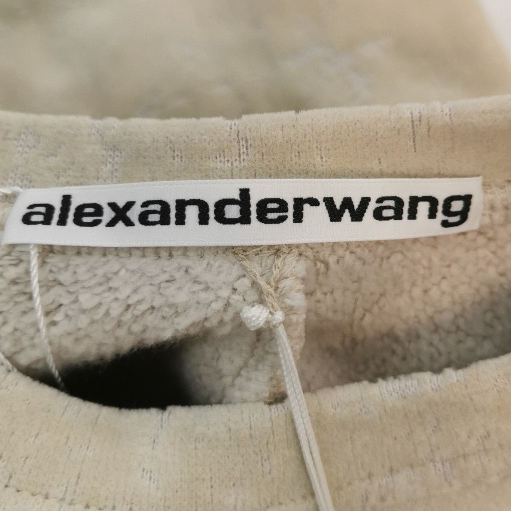 Alexander Wang Alexander Wang Flocked Sweatshirt Size S Size US S / EU 44-46 / 1 - 6 Thumbnail
