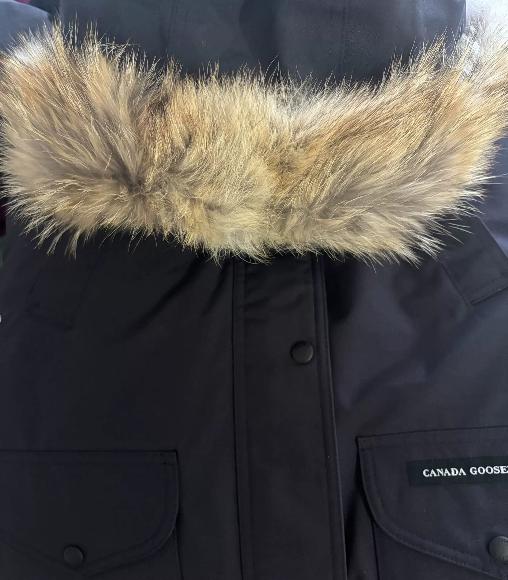 Canada Goose Canada Goose Trillium Navy Down Jacket Size XS / US 0-2 / IT 36-38 - 3 Thumbnail