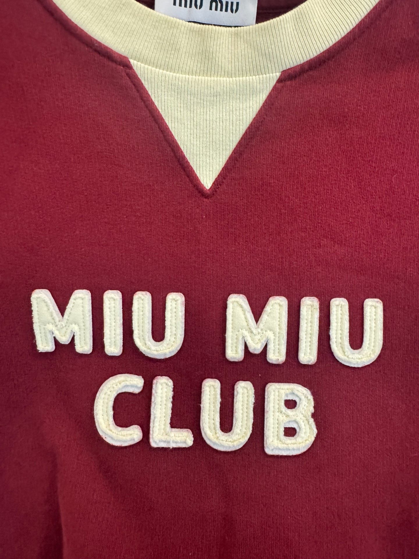 Miu Miu Miu Miu Club Embroidery Sweatshirt Size S Size S / US 4 / IT 40 - 3 Thumbnail