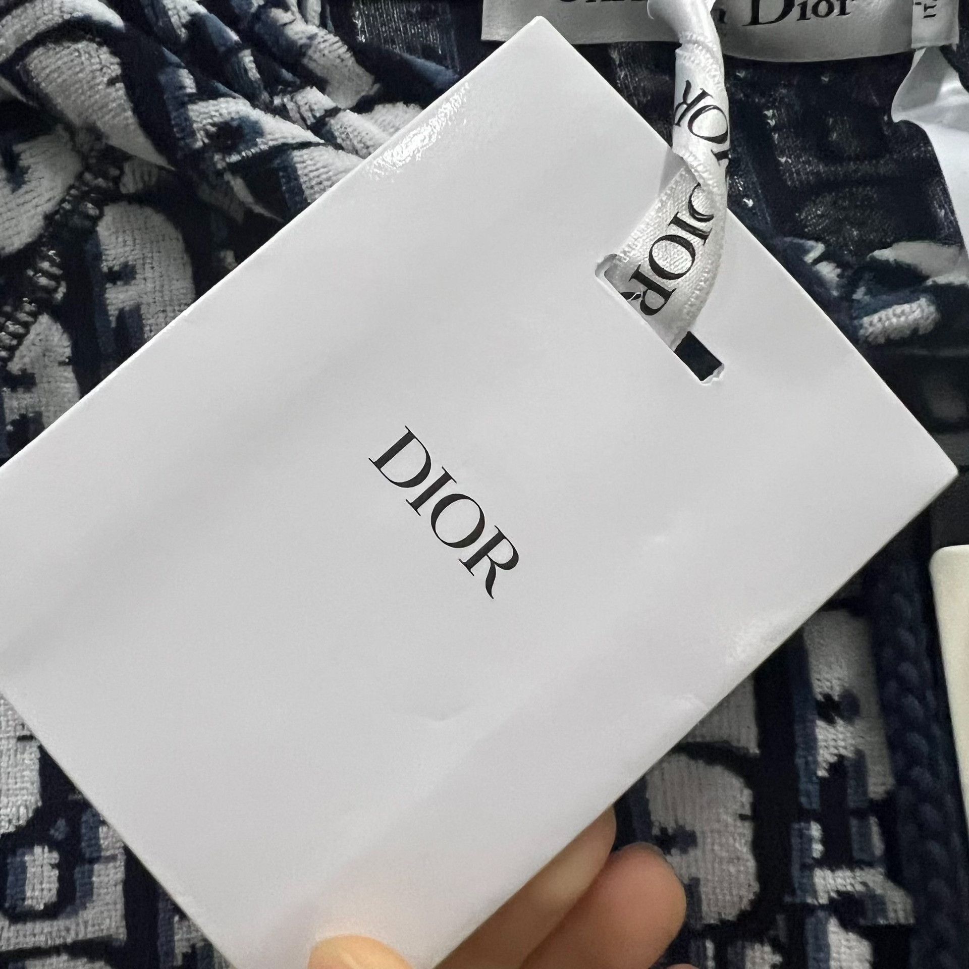 Dior Dior Oblique Short Sleeve Hoodie Size M Size US M / EU 48-50 / 2 - 7 Thumbnail