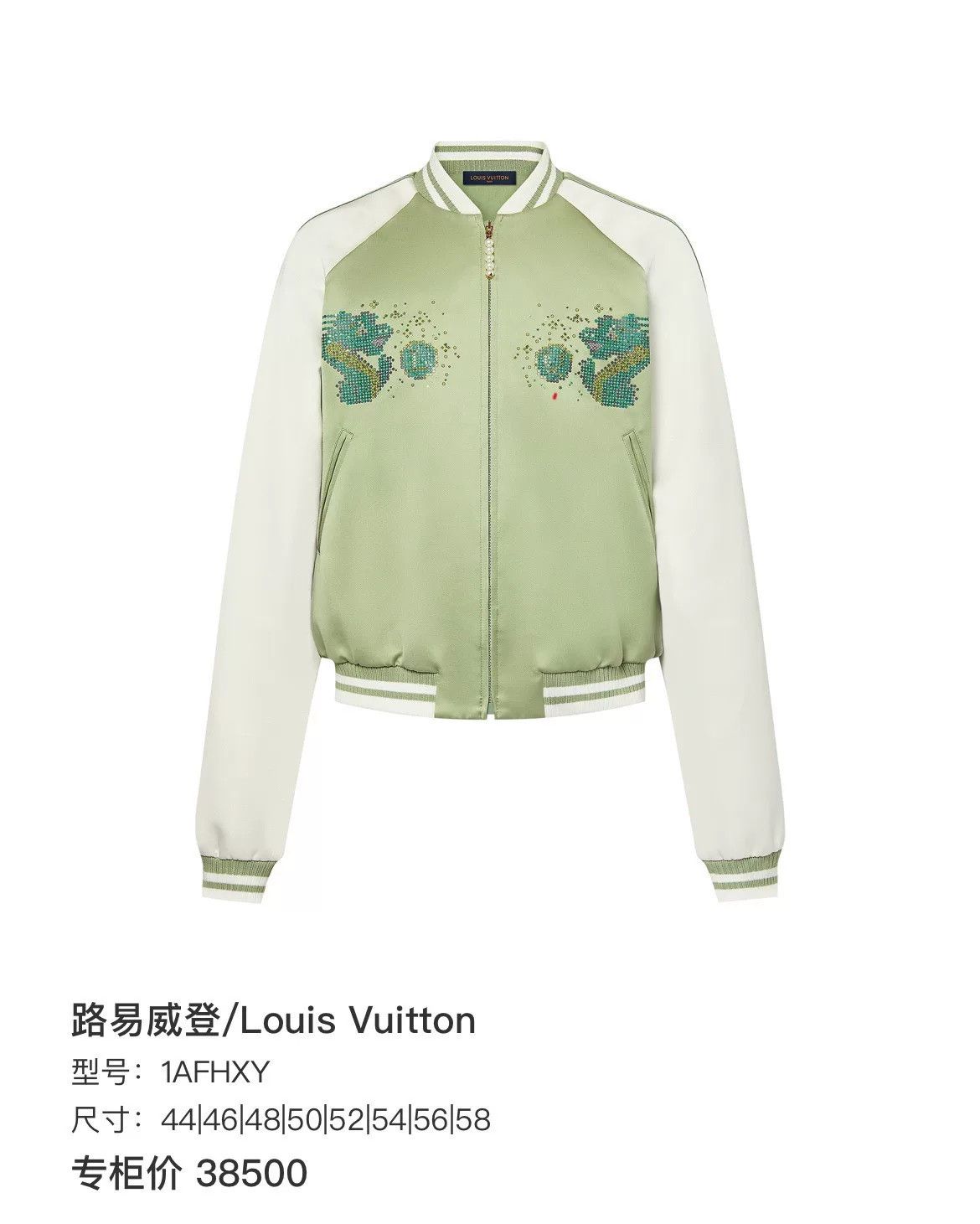 Louis Vuitton Louis Vuitton Dragon Embroidery Bomber Jacket Size L Size US L / EU 52-54 / 3 - 10 Thumbnail
