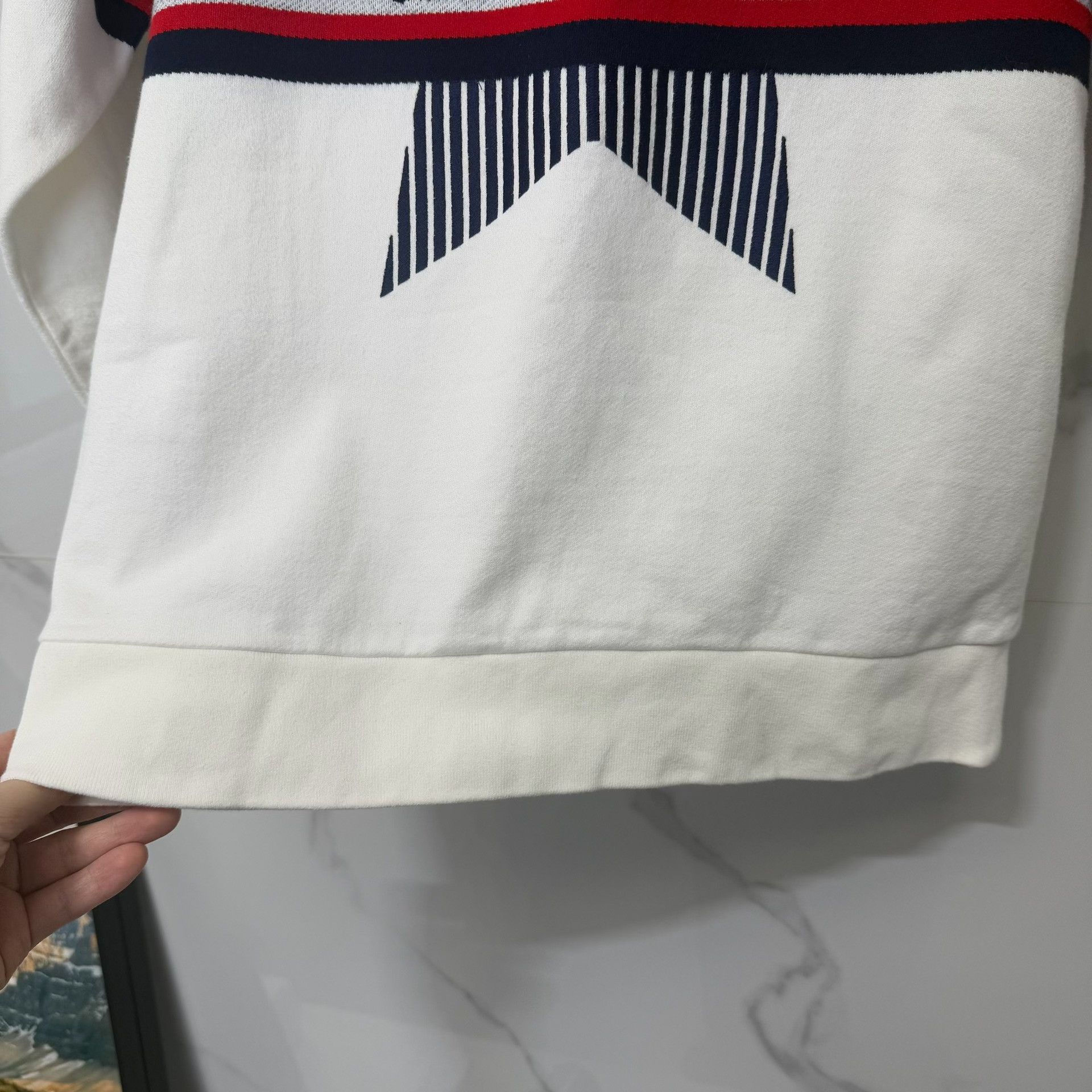 Dior Dior Star Logo Hoodie Size S Size S / US 4 / IT 40 - 8 Thumbnail