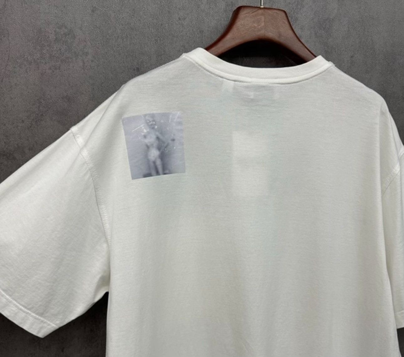 Burberry Burberry Fawn Print Logo T-Shirt Size S Size US S / EU 44-46 / 1 - 4 Thumbnail