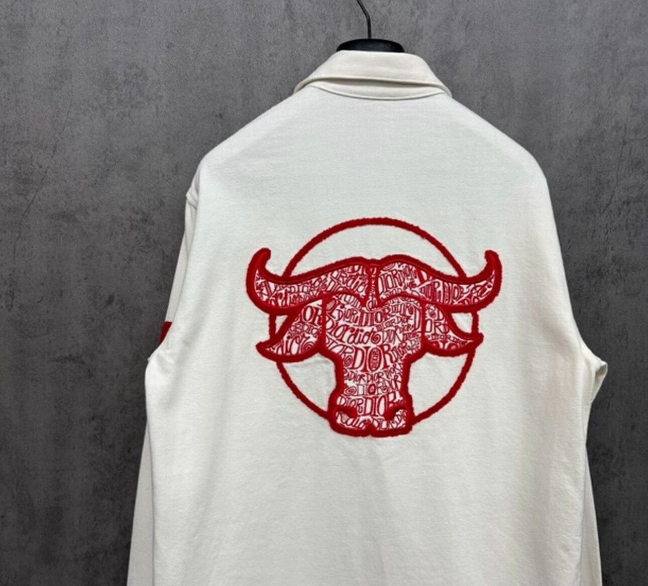 Dior Dior Embroidered Logo Denim Shirt Size M Size US M / EU 48-50 / 2 - 3 Thumbnail