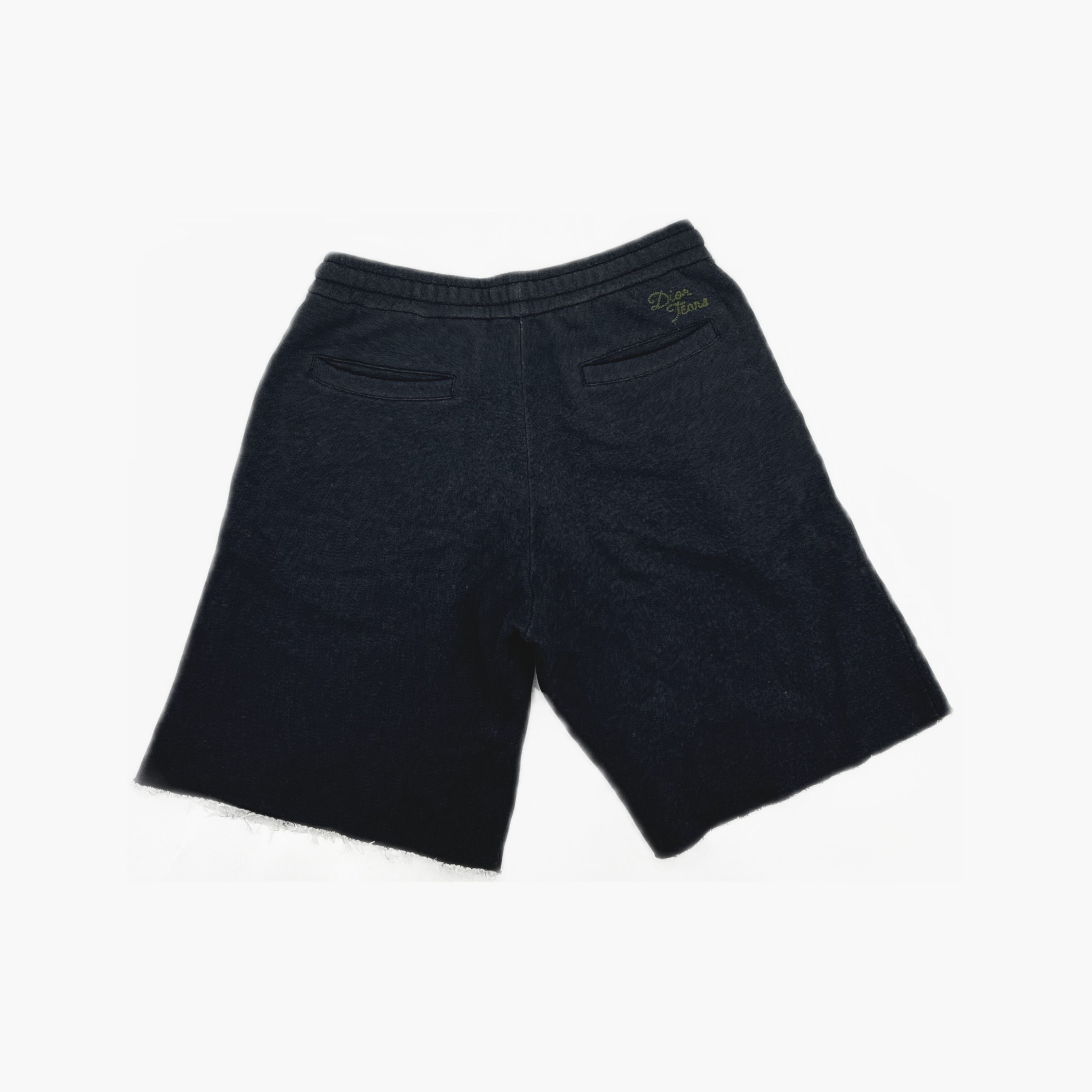 Dior Dior x Denim Tears Logo Shorts Size L Size US 34 / EU 50 - 2 Thumbnail