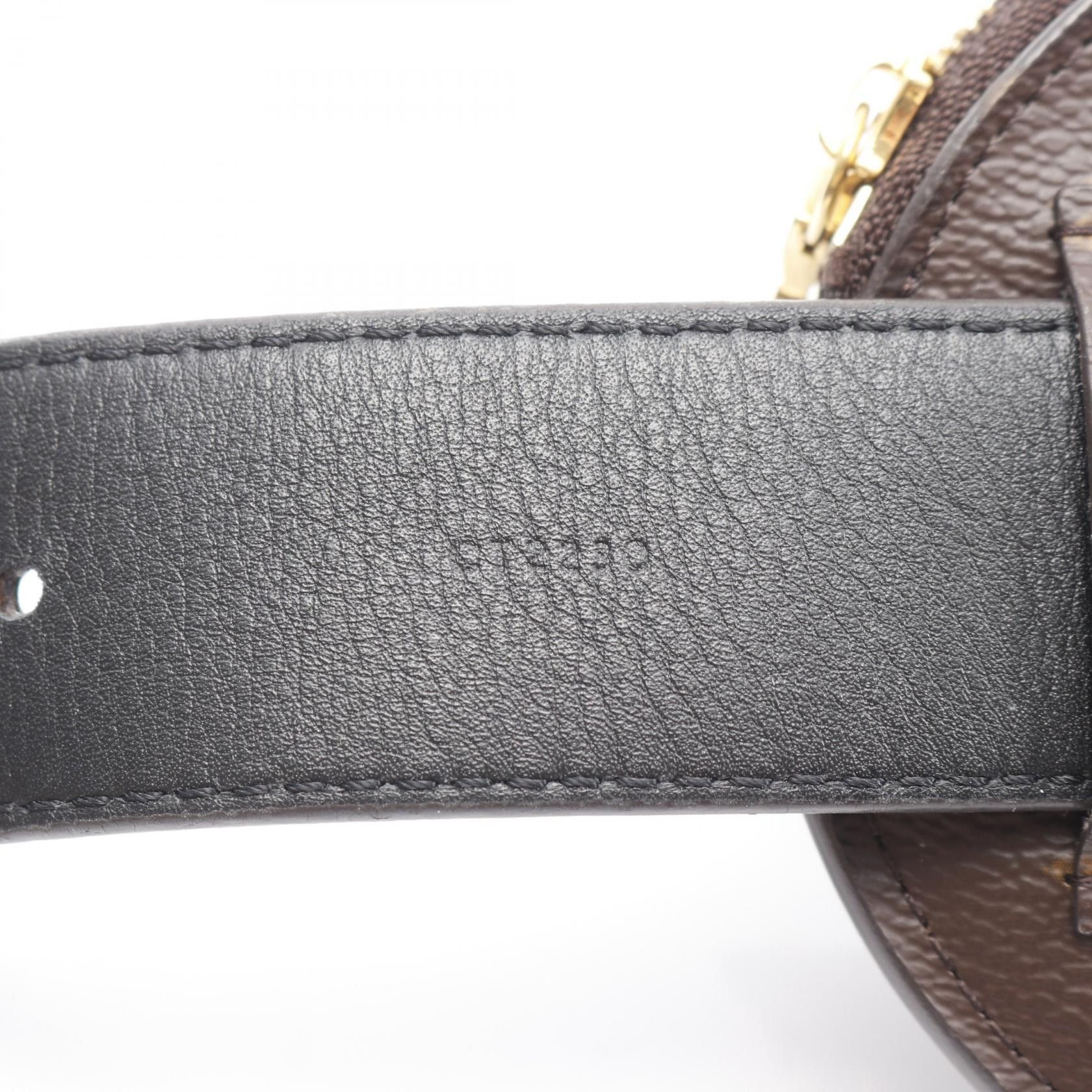 Louis Vuitton Louis Vuitton Louis Vuitton Sangle Daily Monogram waist bag Textile Belt Bag M0236U DUTY FREE for USA Size ONE SIZE - 6 Thumbnail