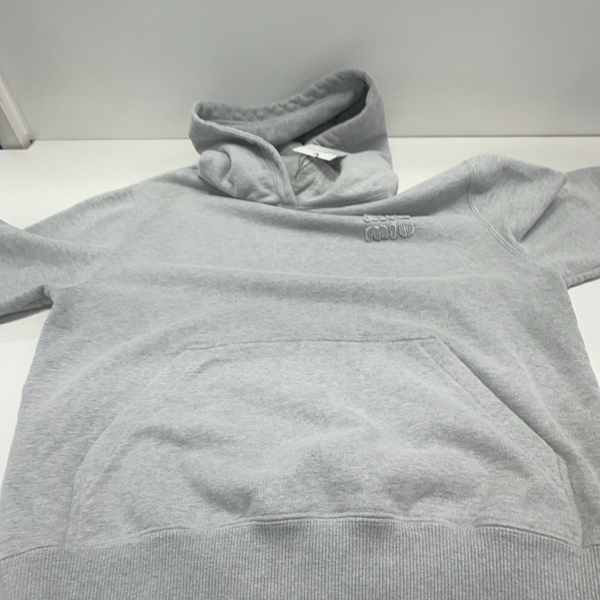Miu Miu Miu Miu Logo Embroidered Hoodie Size S Size S / US 4 / IT 40 - 9 Thumbnail