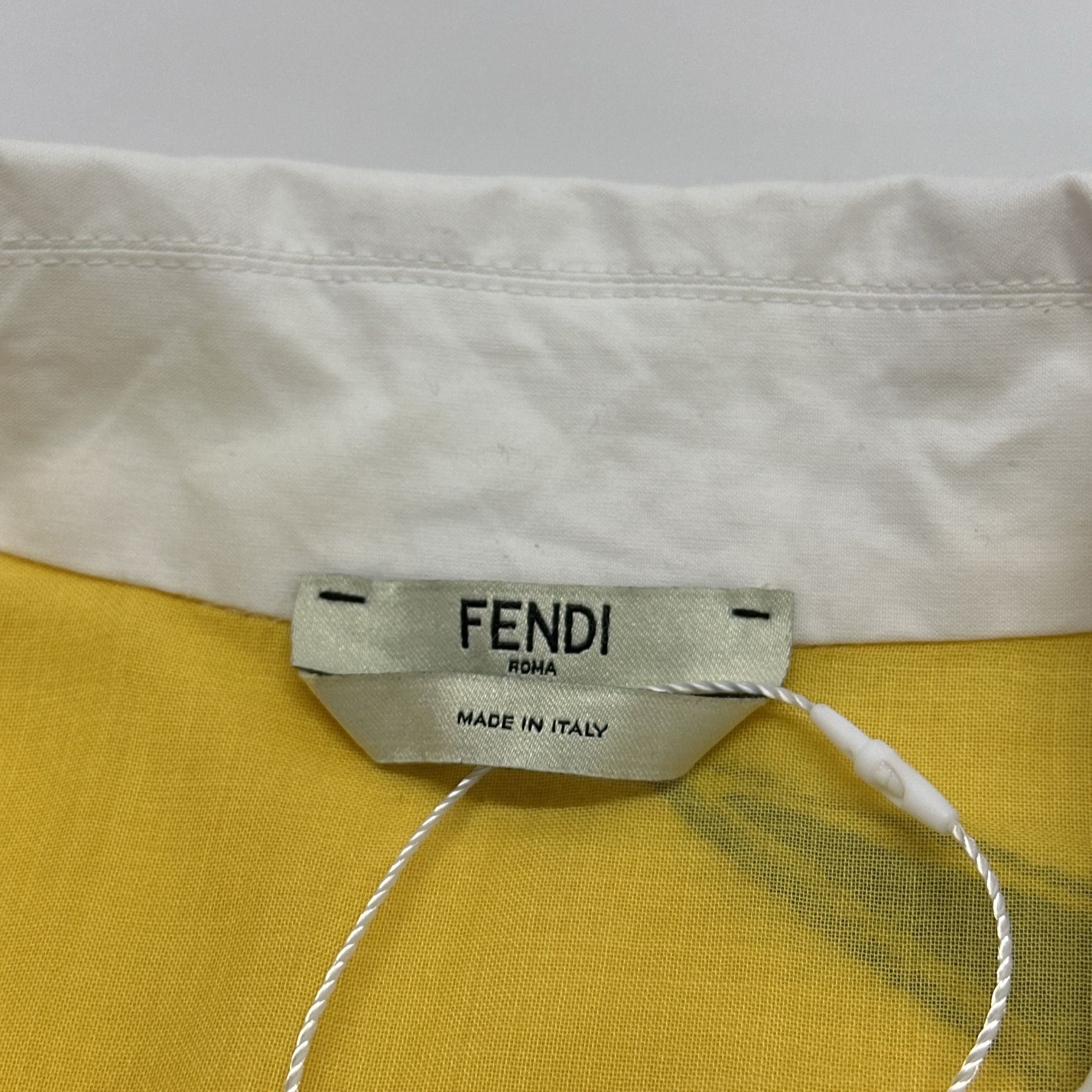 Fendi Fendi Botanical Print Mini Dress Size 36 Size XS / US 0-2 / IT 36-38 - 3 Thumbnail