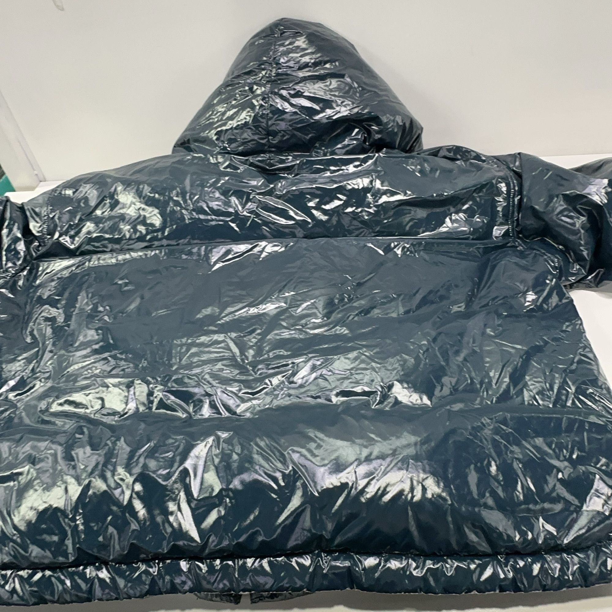 Alexander Wang Alexander Wang Shiny Down Hooded Jacket Size S Size US S / EU 44-46 / 1 - 17 Thumbnail