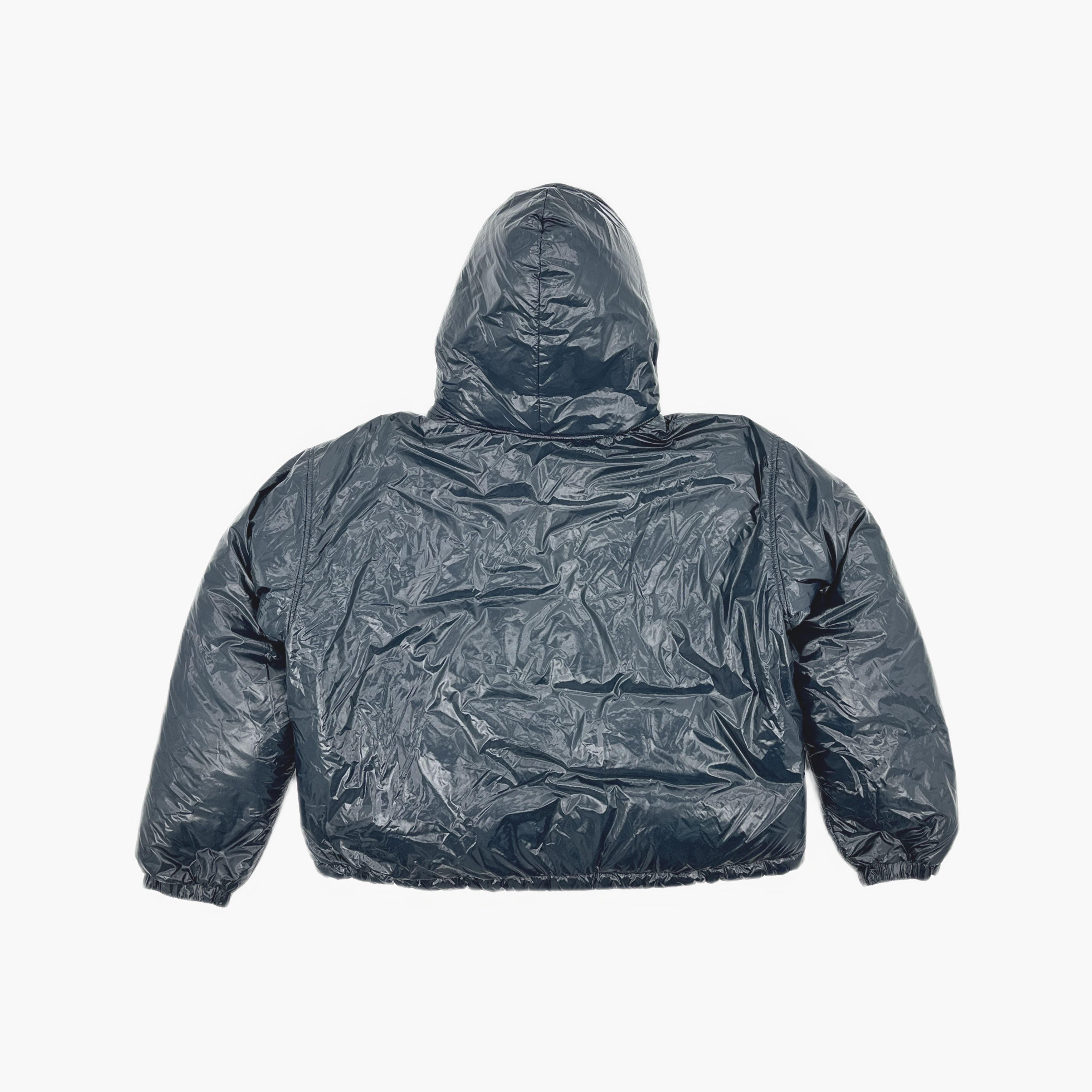 Alexander Wang Alexander Wang Shiny Down Hooded Jacket Size S Size US S / EU 44-46 / 1 - 2 Thumbnail