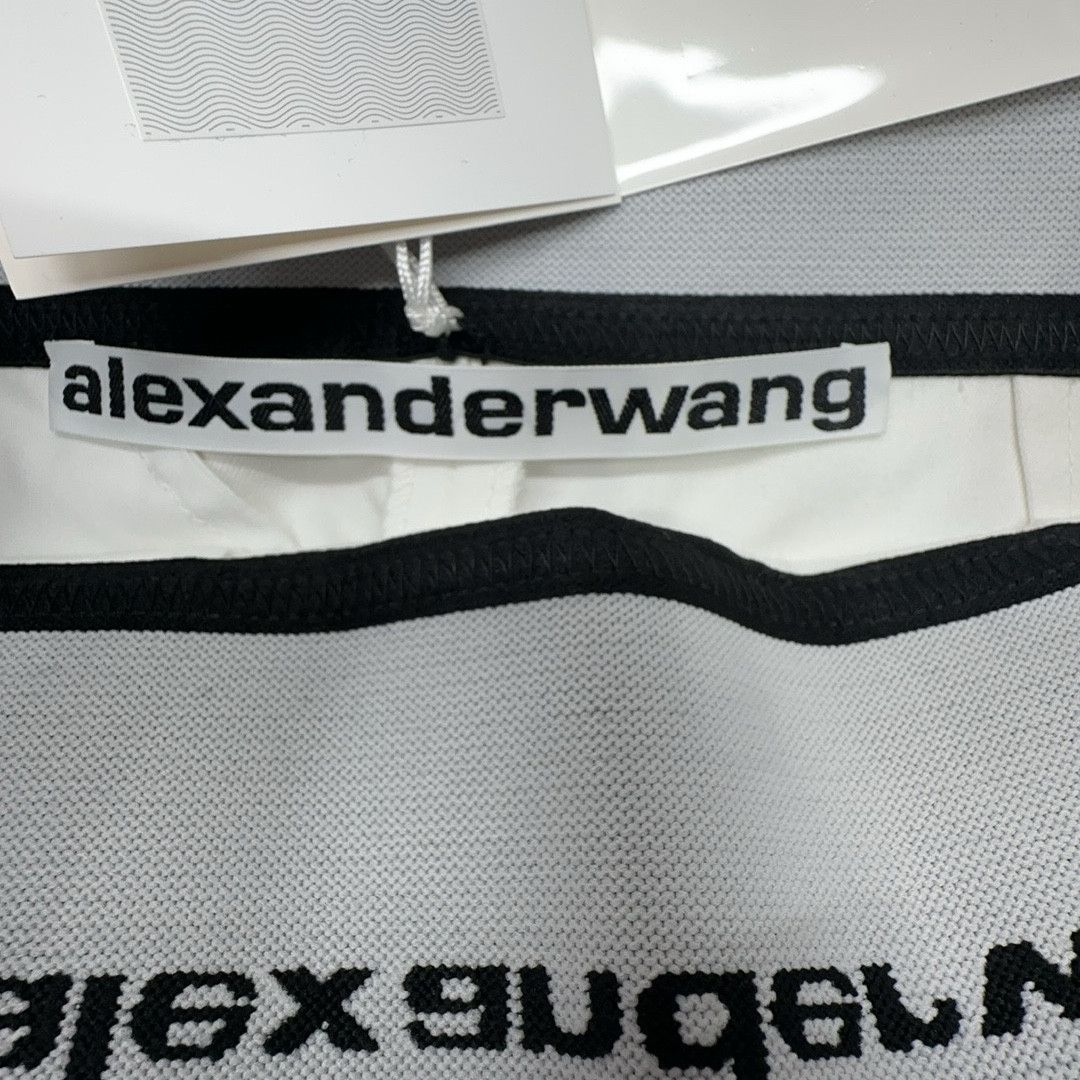 Alexander Wang Alexander Wang Logo Elastic Waistband Shorts Size 4 Size 27" / US 4 / IT 40 - 3 Thumbnail