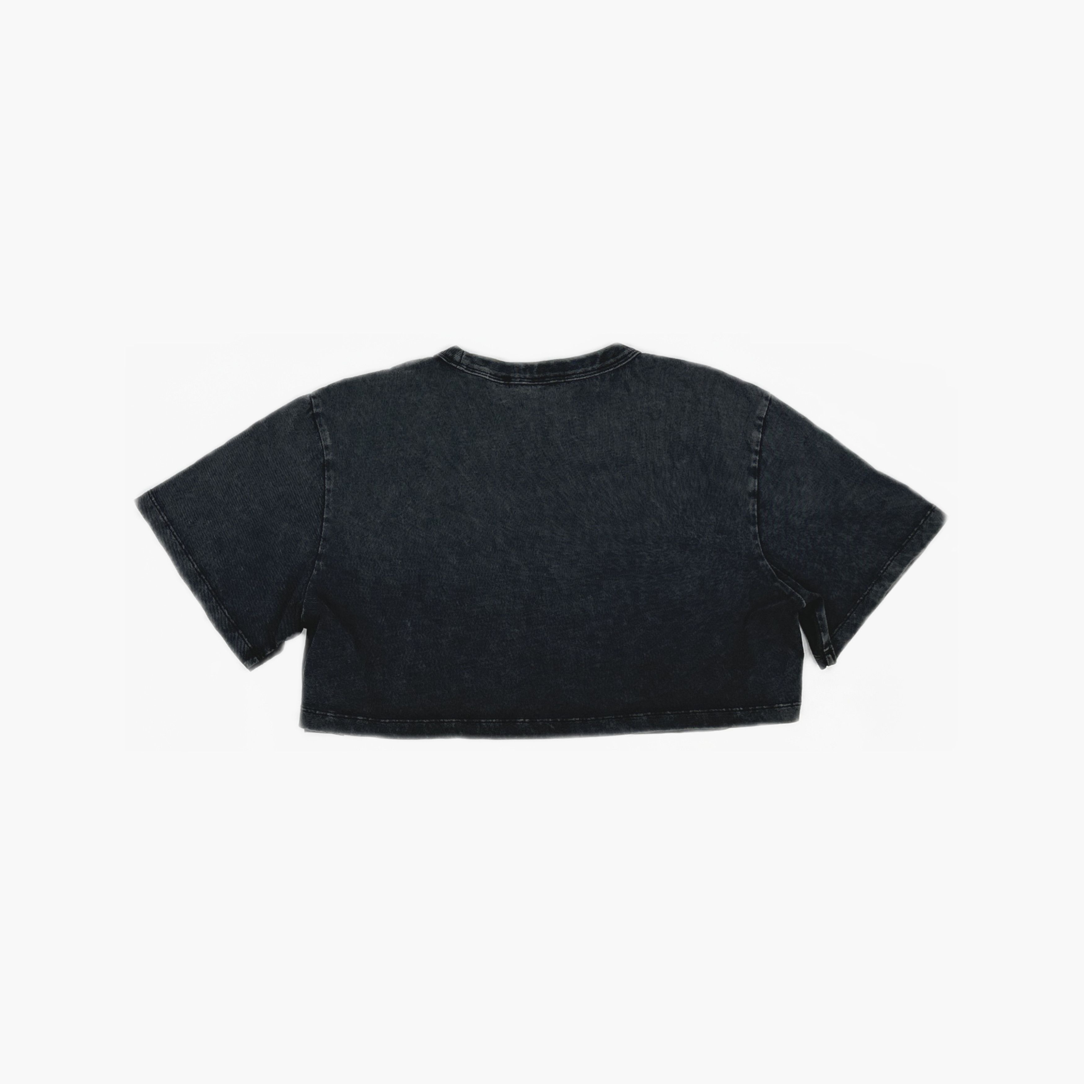 Alexander Wang Alexander Wang Logo Acid Wash Crop Top Size S Size S / US 4 / IT 40 - 2 Thumbnail
