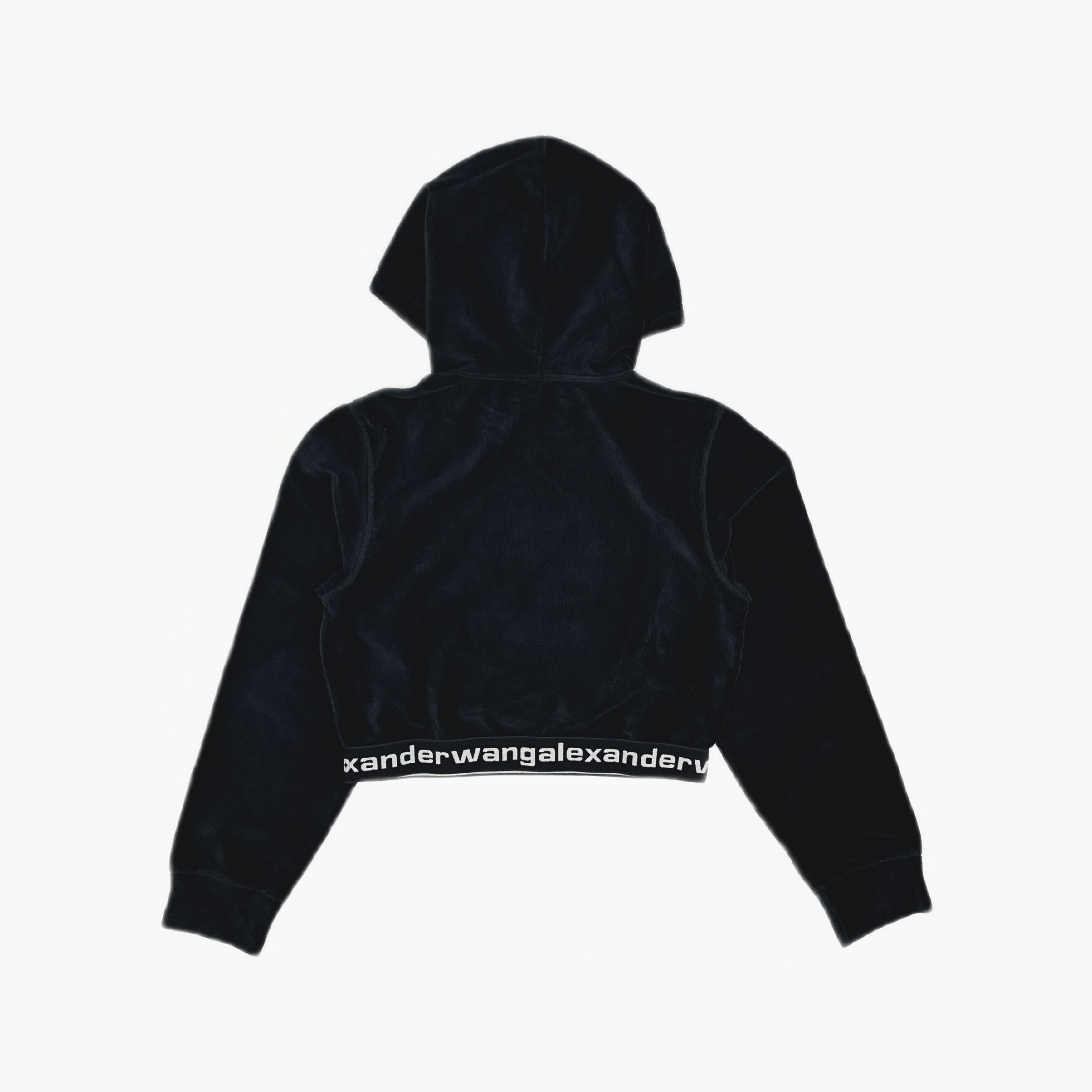 Alexander Wang Alexander Wang Logo Elastic Cropped Hoodie Size L Size L / US 10 / IT 46 - 2 Thumbnail