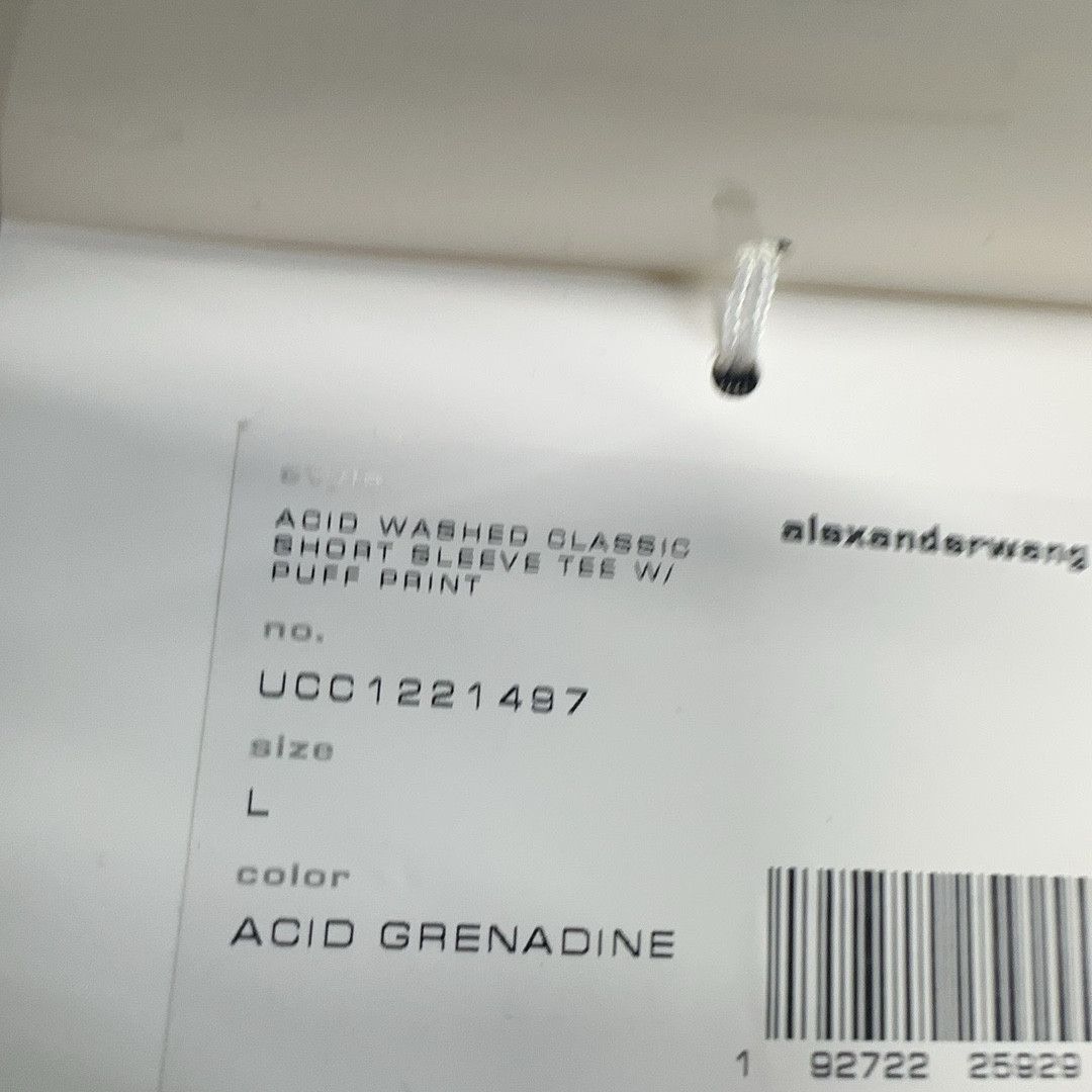 Alexander Wang Alexander Wang Acid Wash Logo T-Shirt Size L Size L / US 10 / IT 46 - 6 Thumbnail
