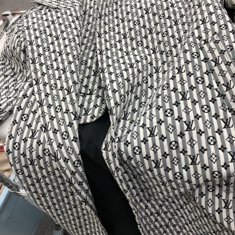 Louis Vuitton Louis Vuitton Monogram Stripe Coat Size 36 Size XS / US 0-2 / IT 36-38 - 6 Thumbnail