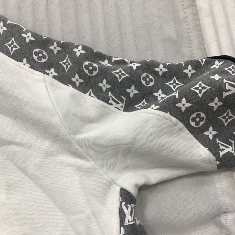 Louis Vuitton Louis Vuitton Colorblocked Monogram Hoodie L Size US L / EU 52-54 / 3 - 8 Thumbnail