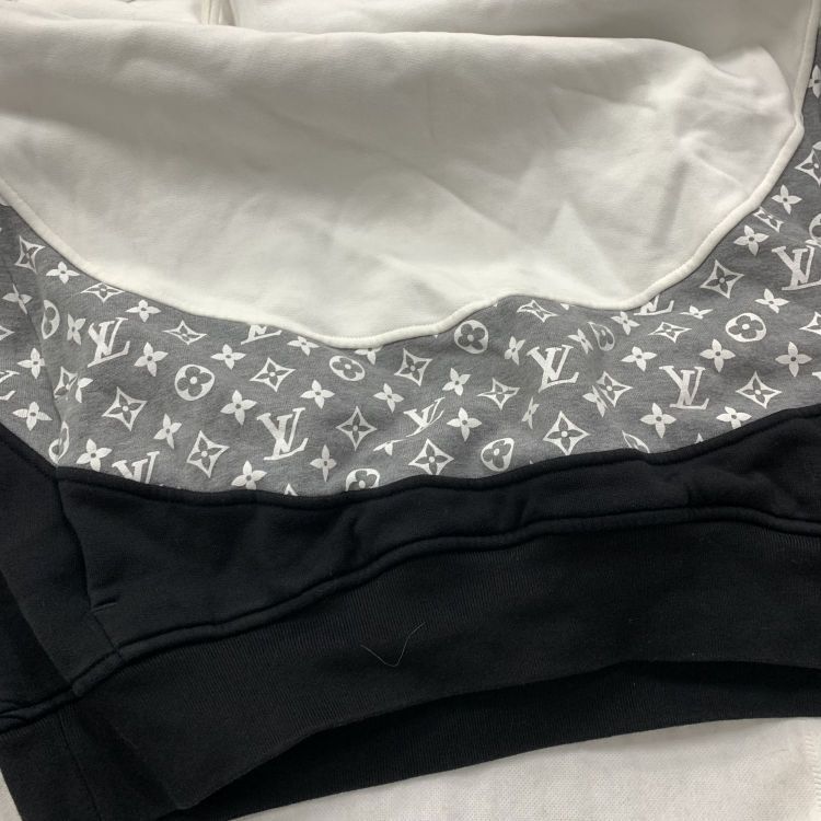 Louis Vuitton Louis Vuitton Colorblocked Monogram Hoodie L Size US L / EU 52-54 / 3 - 10 Thumbnail