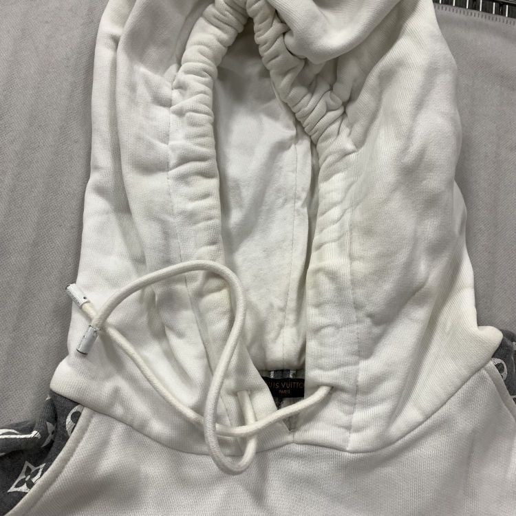 Louis Vuitton Louis Vuitton Colorblocked Monogram Hoodie L Size US L / EU 52-54 / 3 - 7 Thumbnail