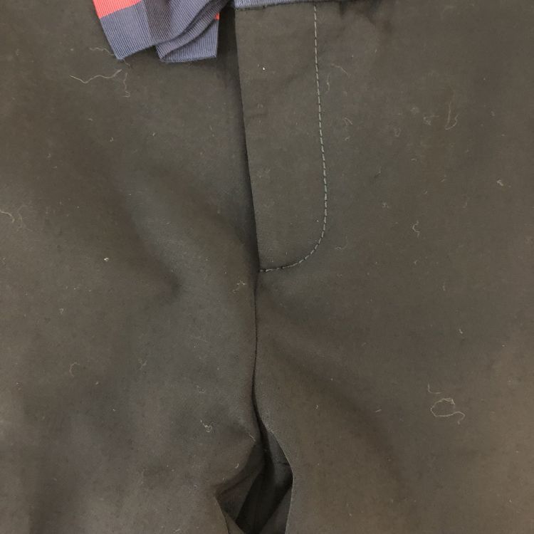 Gucci Gucci Web Detail Crystal Bow Pants Size 44 Size 30" / US 8 / IT 44 - 10 Thumbnail