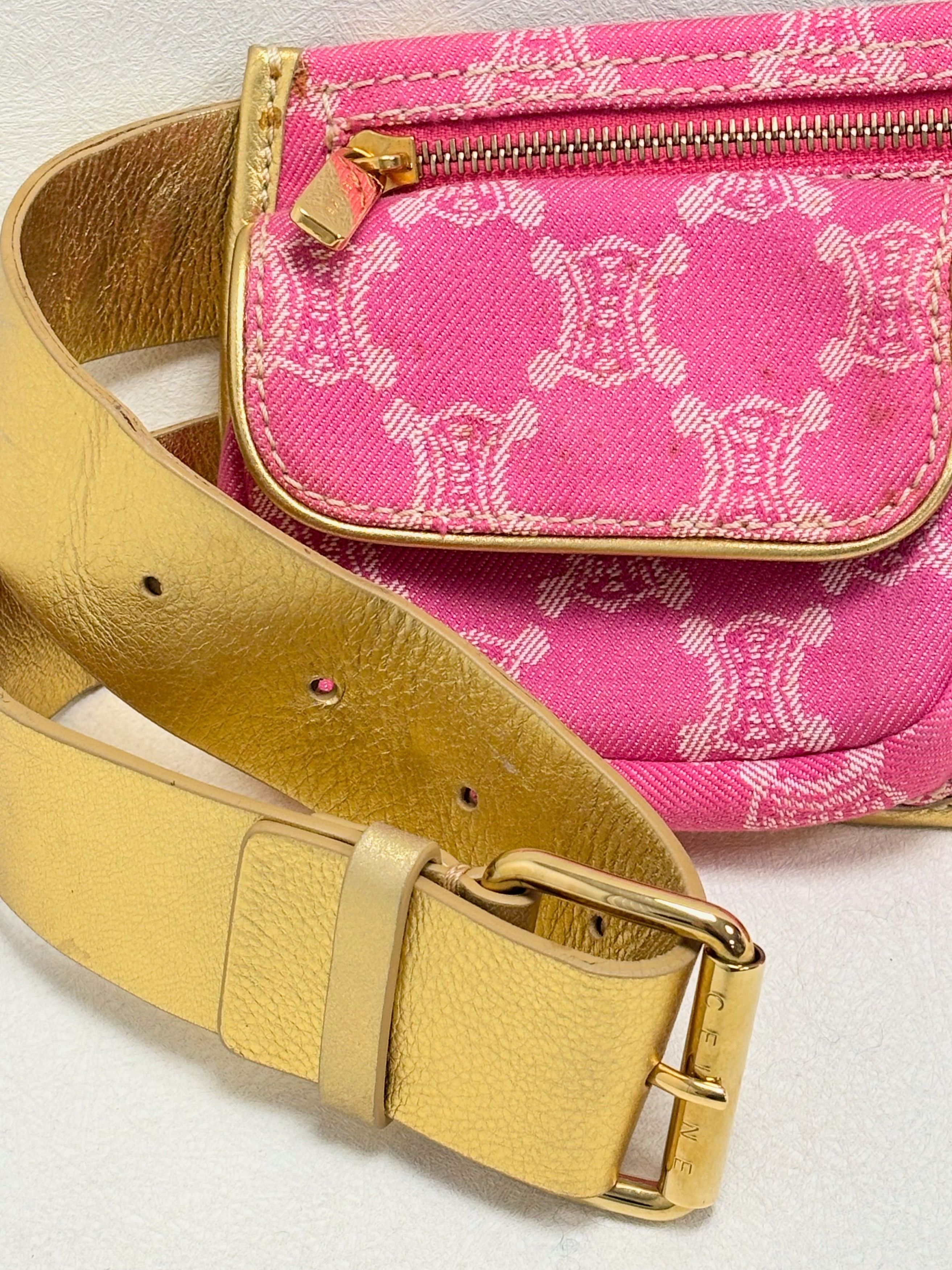 Celine CÉLINE Sac Banane Triomphe Size ONE SIZE - 13 Thumbnail
