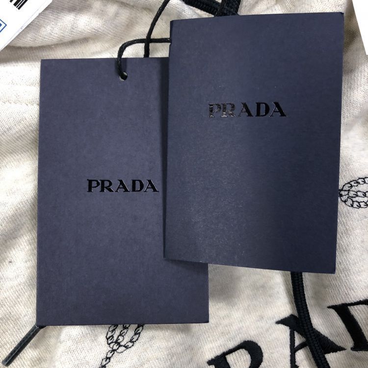 Prada Prada Logo Embroidered Hoodie Size XS Size XS / US 0-2 / IT 36-38 - 11 Thumbnail