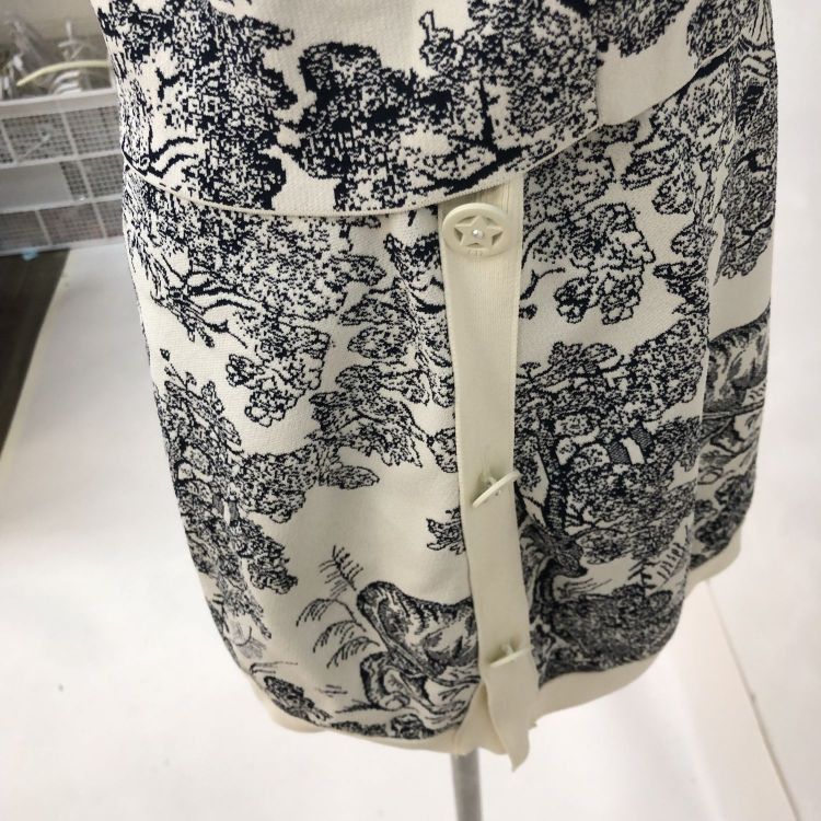 Dior Dior Tiger Motif Knit Set Size 34 Size XS / US 0-2 / IT 36-38 - 12 Thumbnail