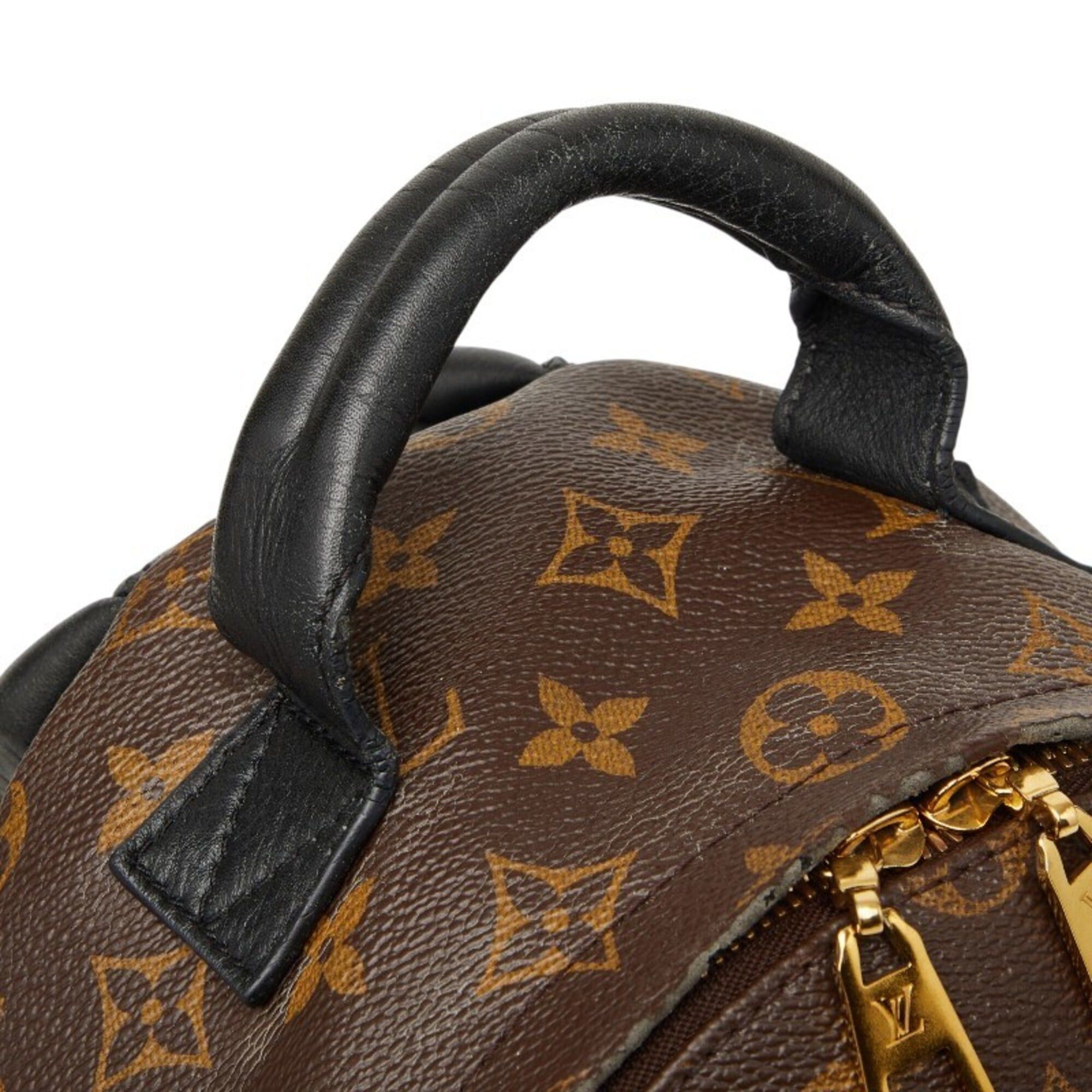 Louis Vuitton Monogram Palm Springs PM Backpack M41560 Brown 