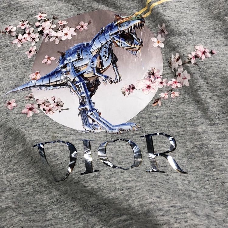 Dior Dior x Sorayama T-Rex Sweatshirt Size XL Size US XL / EU 56 / 4 - 5 Thumbnail