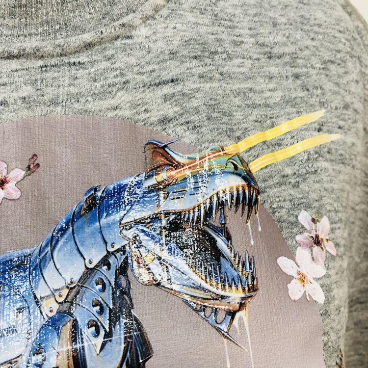 Dior Dior T-Rex Graphic Sweatshirt Size S Size US S / EU 44-46 / 1 - 5 Thumbnail