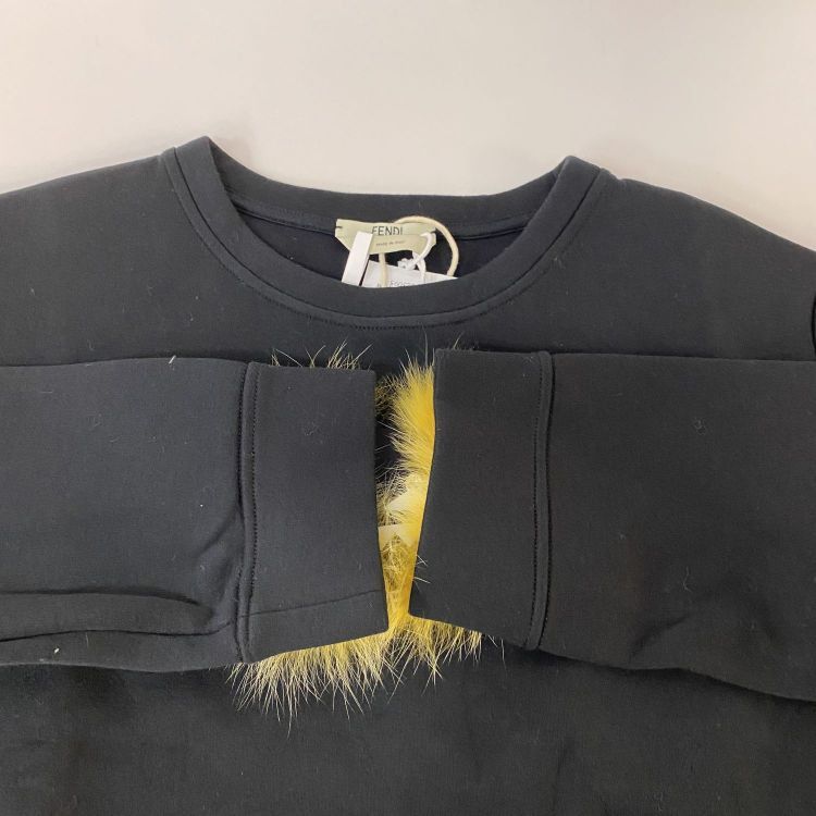 Fendi Fendi Fox Fur Patch Sweatshirt Size 38 Size XS / US 0-2 / IT 36-38 - 9 Thumbnail