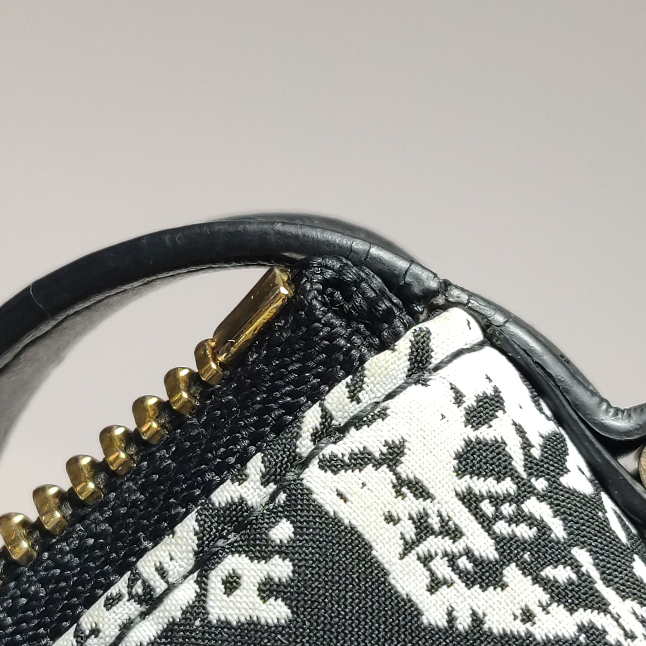 Dior Dior Women os Tote Bags Size ONE SIZE - 19 Thumbnail