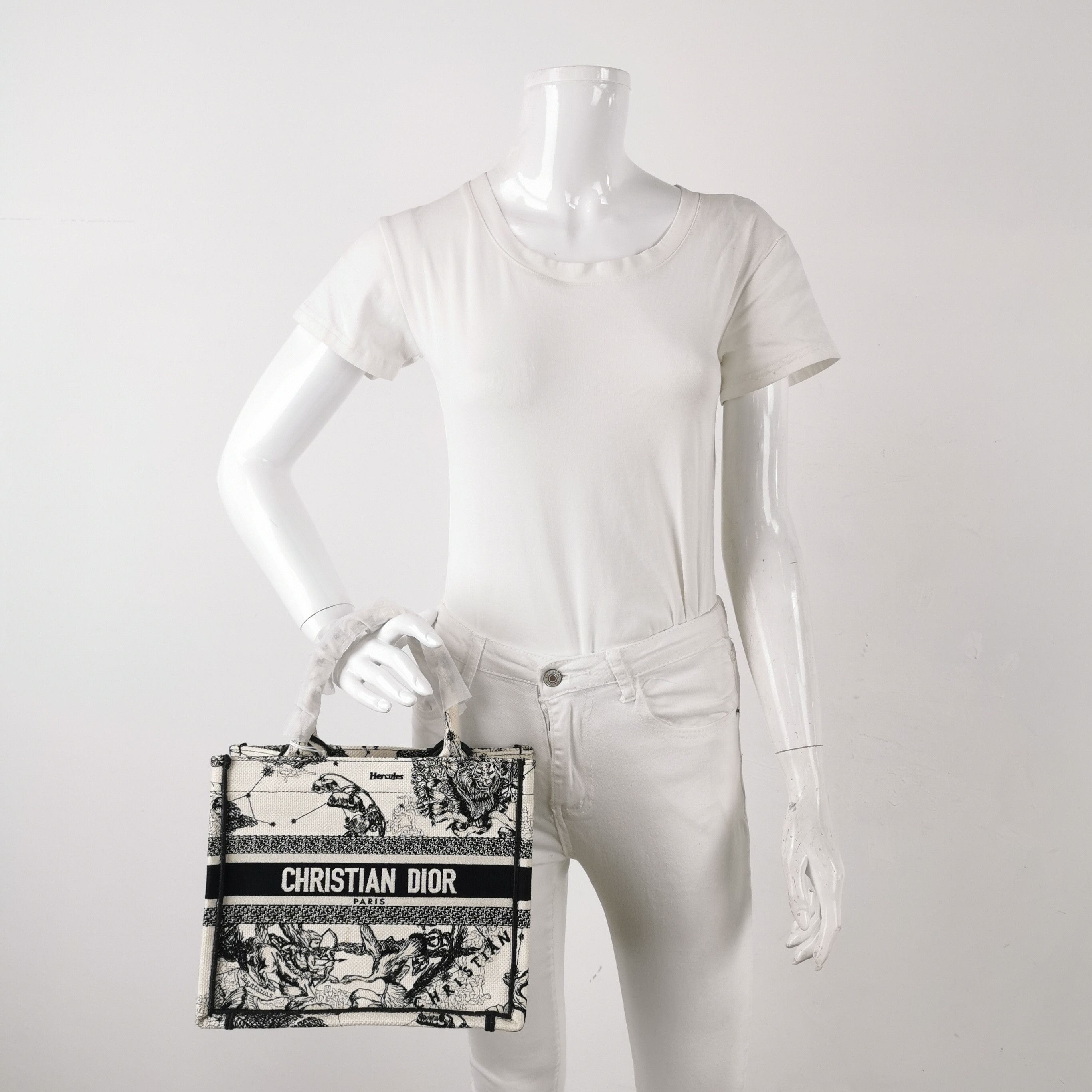 Dior Dior Women os Tote Bags Size ONE SIZE - 2 Thumbnail