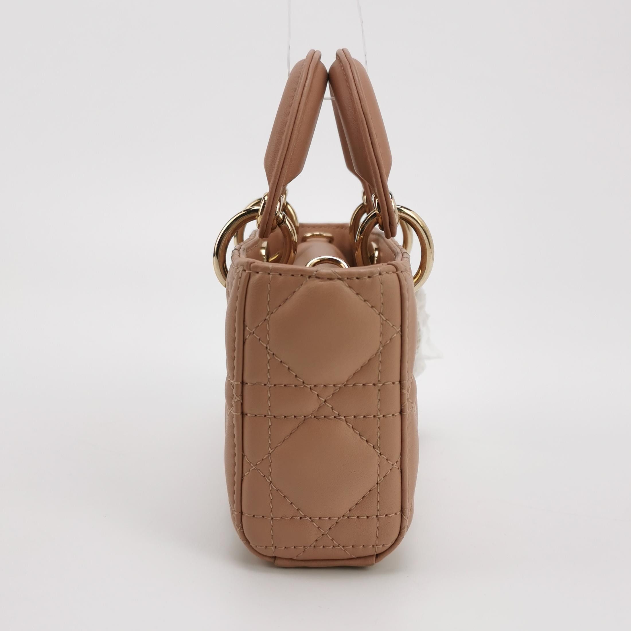 Dior Dior Women os Tote Bags Size ONE SIZE - 4 Thumbnail