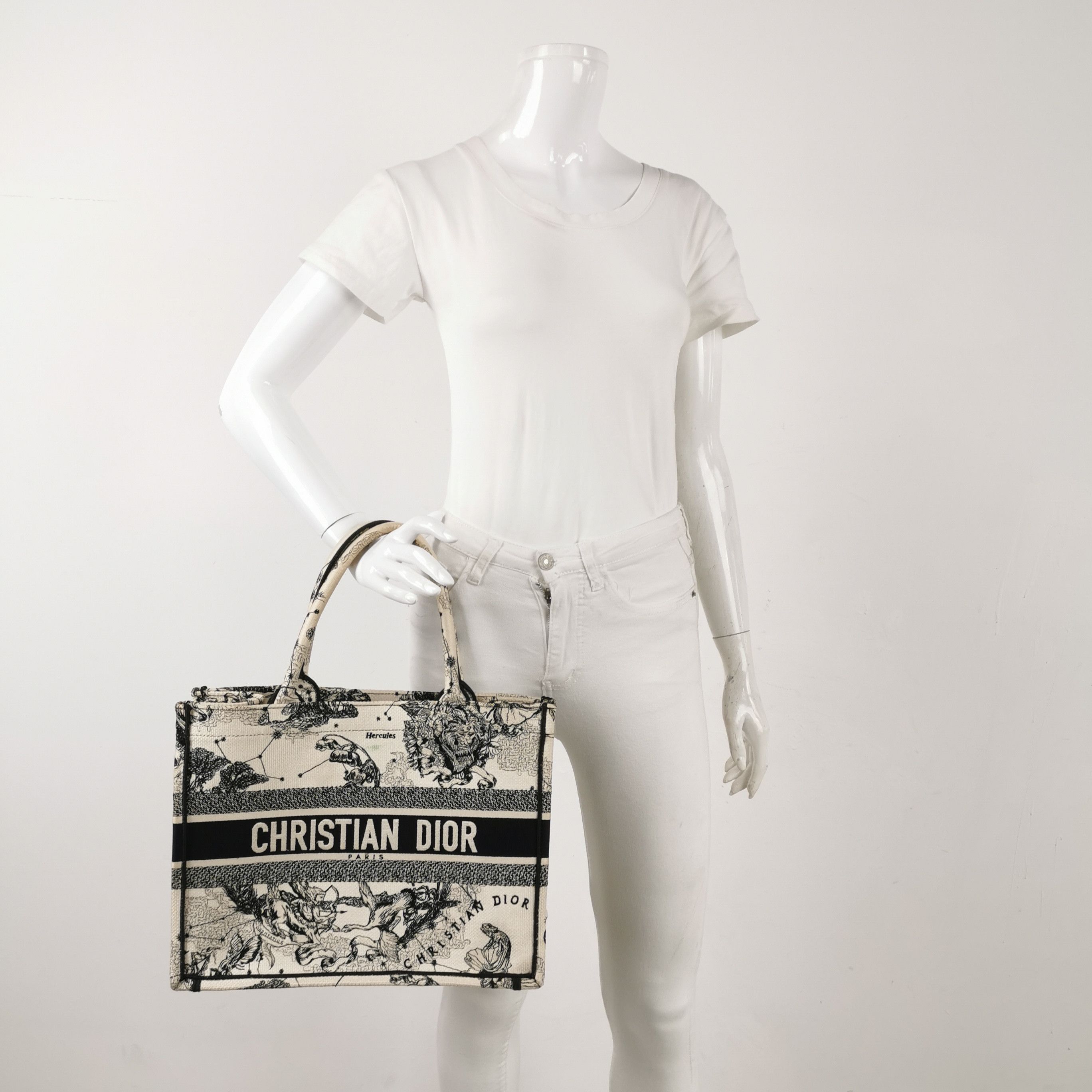 Dior Dior Women os Tote Bags Size ONE SIZE - 2 Thumbnail