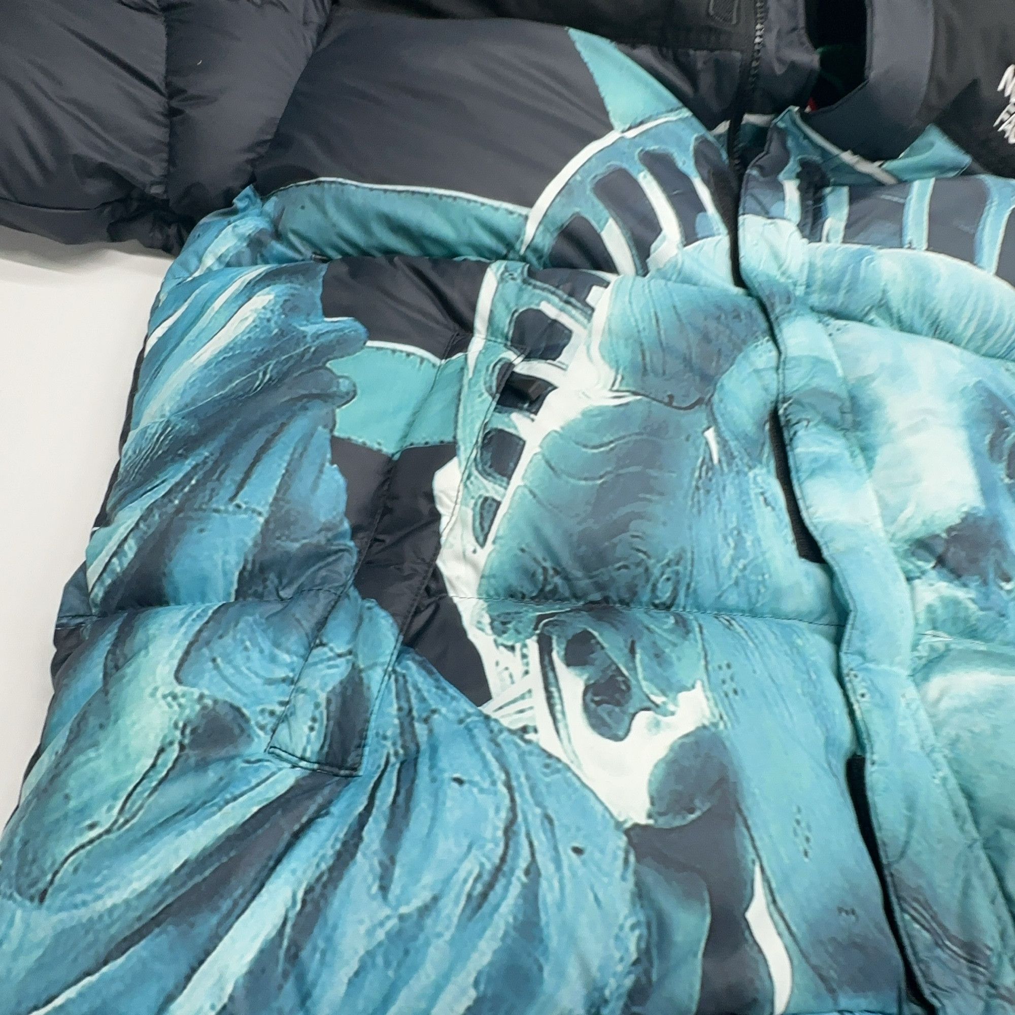 Supreme Supreme x The North Face Statue of Liberty Baltoro Jacket S Size US S / EU 44-46 / 1 - 10 Thumbnail