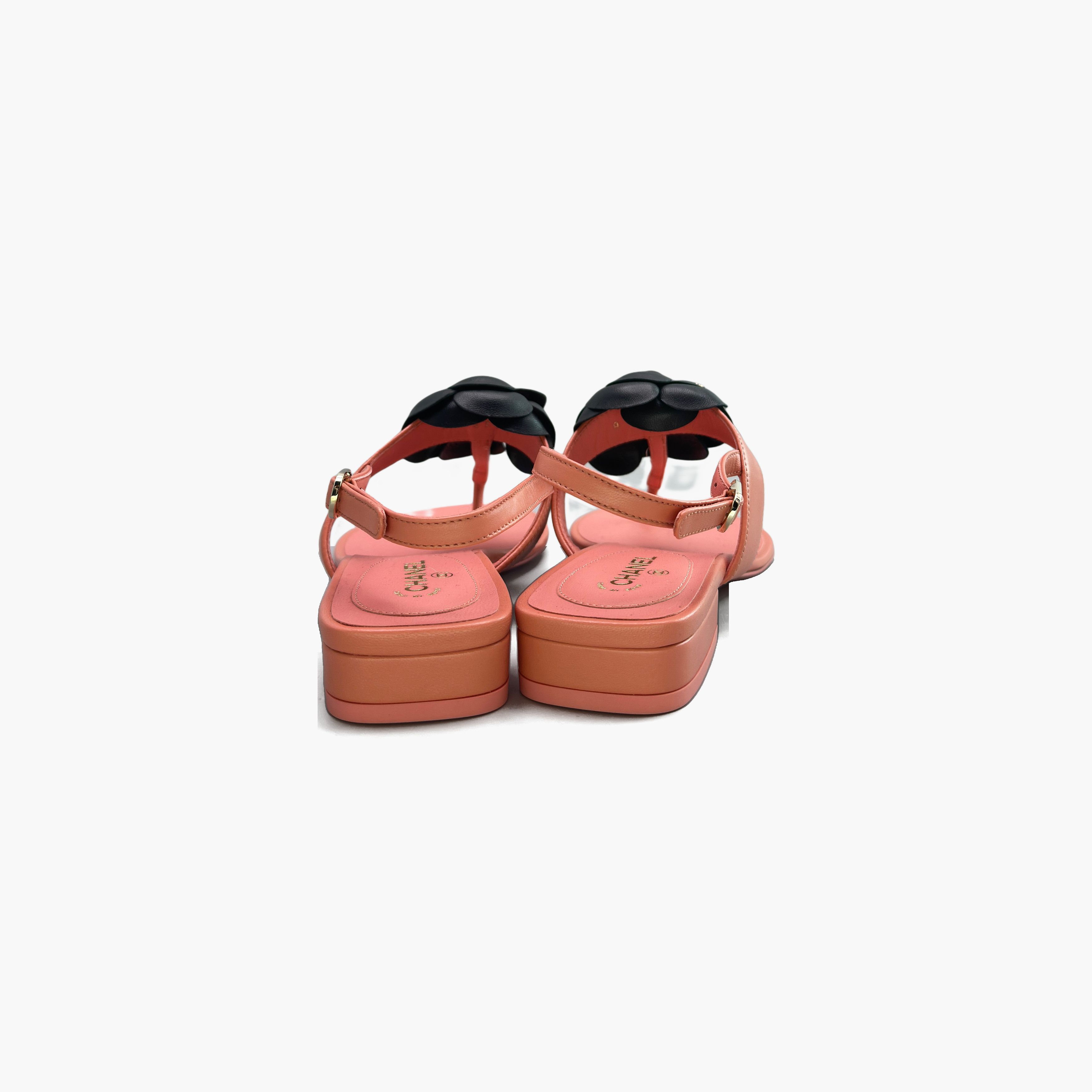 Chanel CHANEL Camellia Leather Thong Sandals Size 36.5 Size US 6.5 / IT 36.5 - 6 Thumbnail