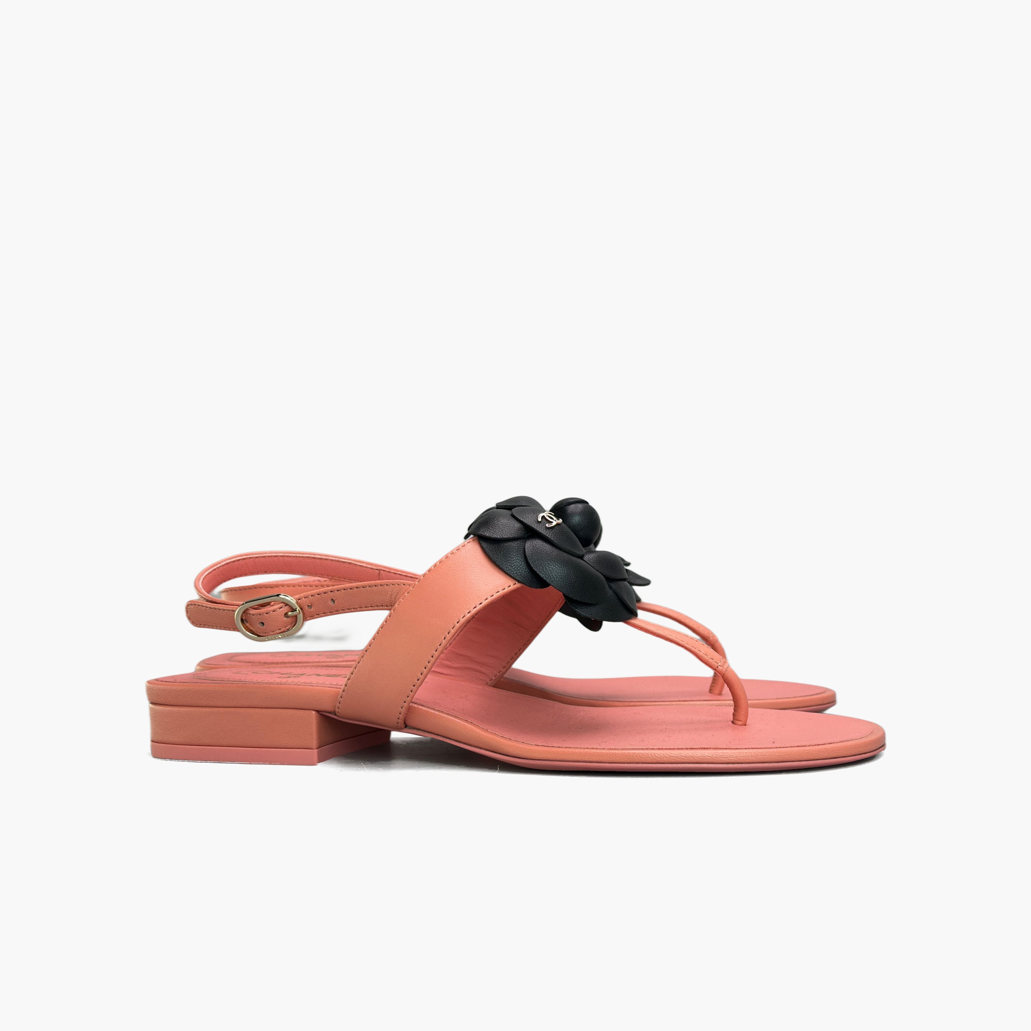 Chanel CHANEL Camellia Leather Thong Sandals Size 36.5 Size US 6.5 / IT 36.5 - 4 Thumbnail