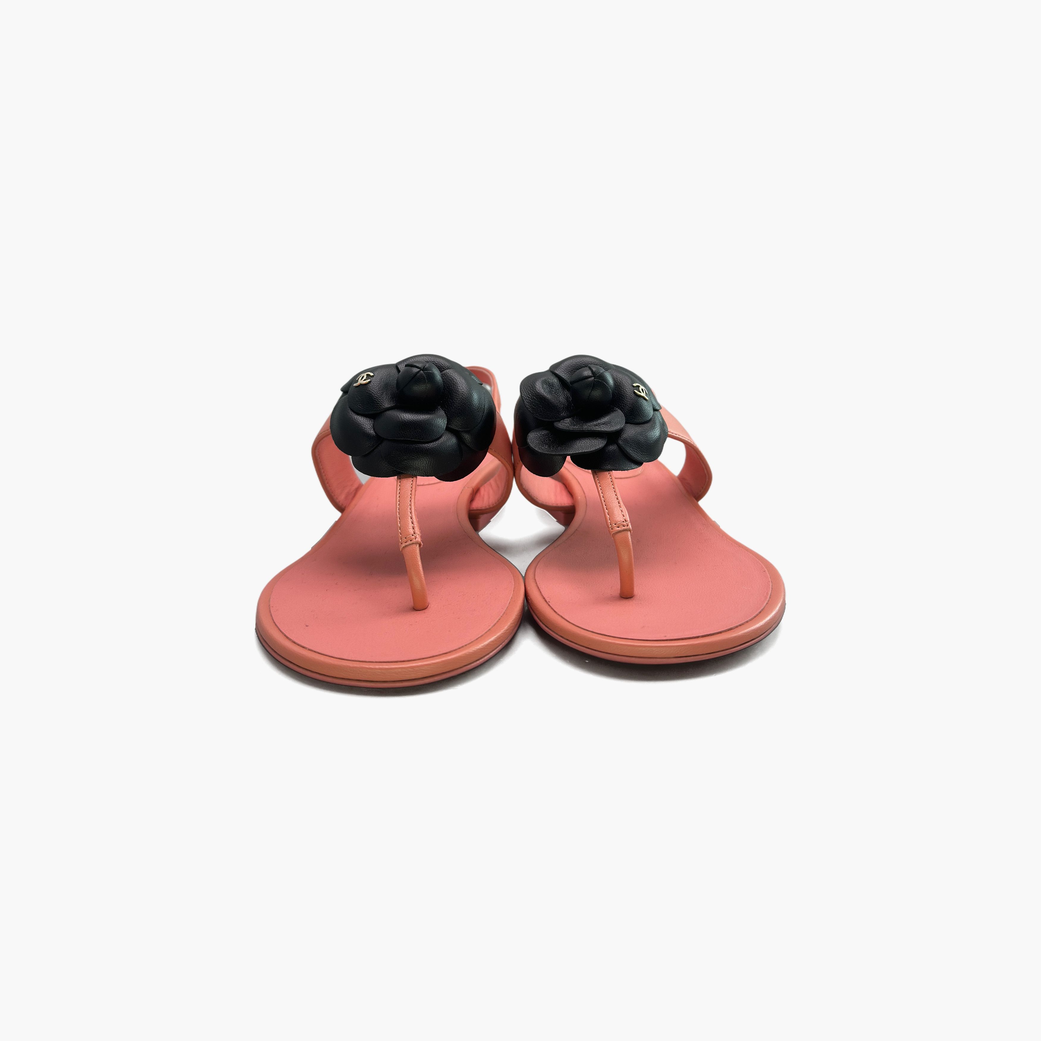 Chanel CHANEL Camellia Leather Thong Sandals Size 36.5 Size US 6.5 / IT 36.5 - 5 Thumbnail